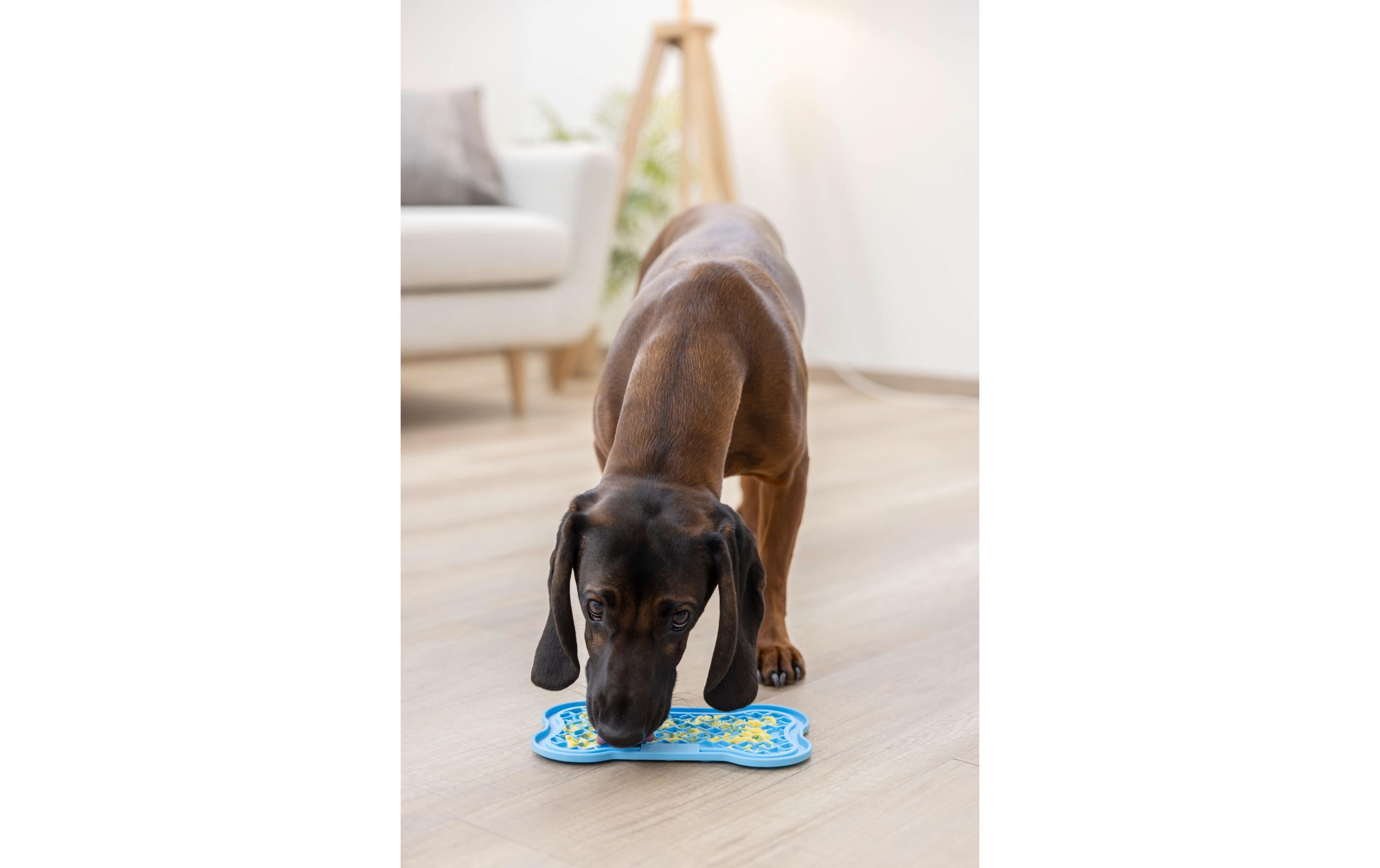 Kerbl Schleckmatte 22 x 13 cm