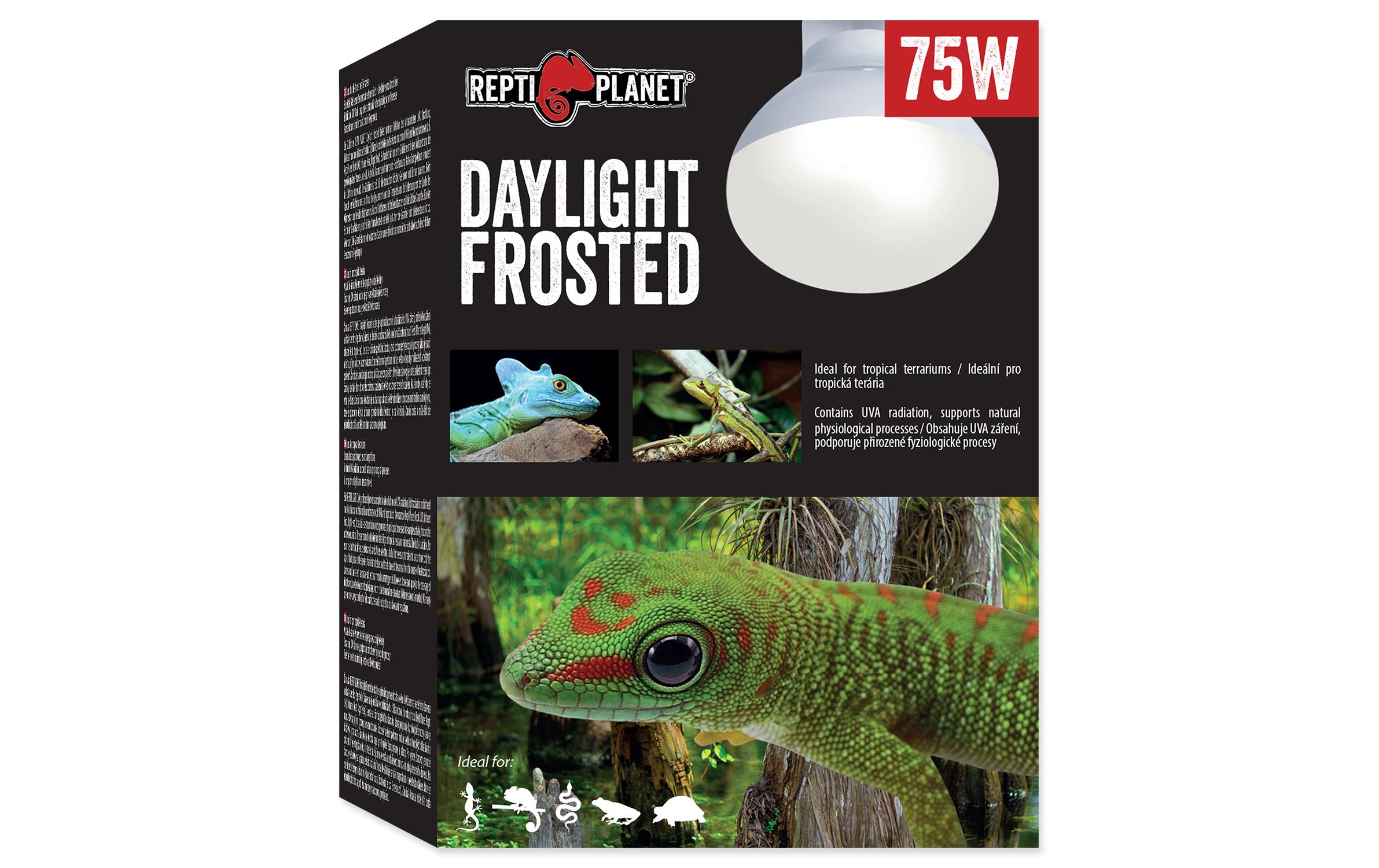Repti Planet Terrarienlampe Daylight Frosted 75 W