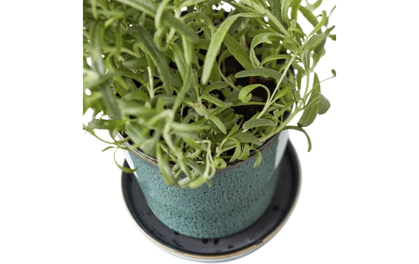 Bitz Pflanzengefäss Grün