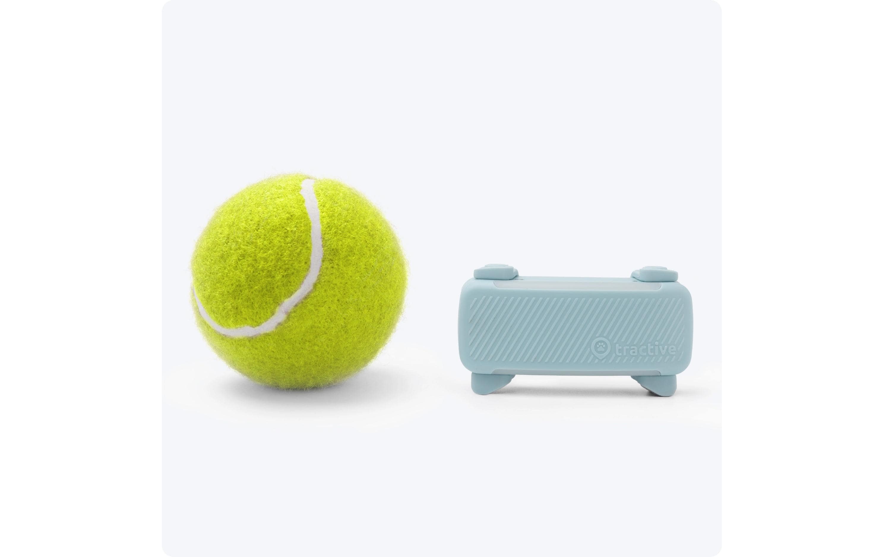 tractive GPS-Tracker DOG 6 Mint