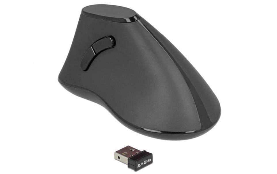 Delock Ergonomische Maus 12622 Silent USB kabellos
