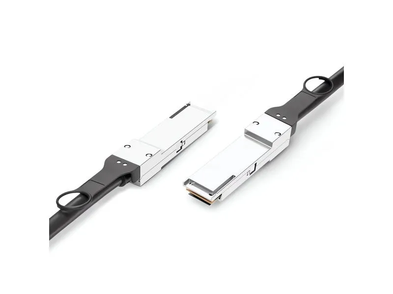 Lightwin Optics Direct Attach Kabel Passiv 100GBit QSFP28/QSFP28 0.5 m