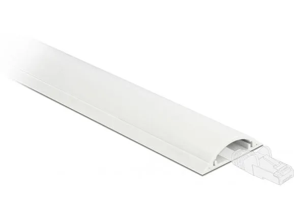 Delock Kabelkanal 1 m x 50 mm Weiss Delock Kabelkanal 1 m x 50 mm Weiss