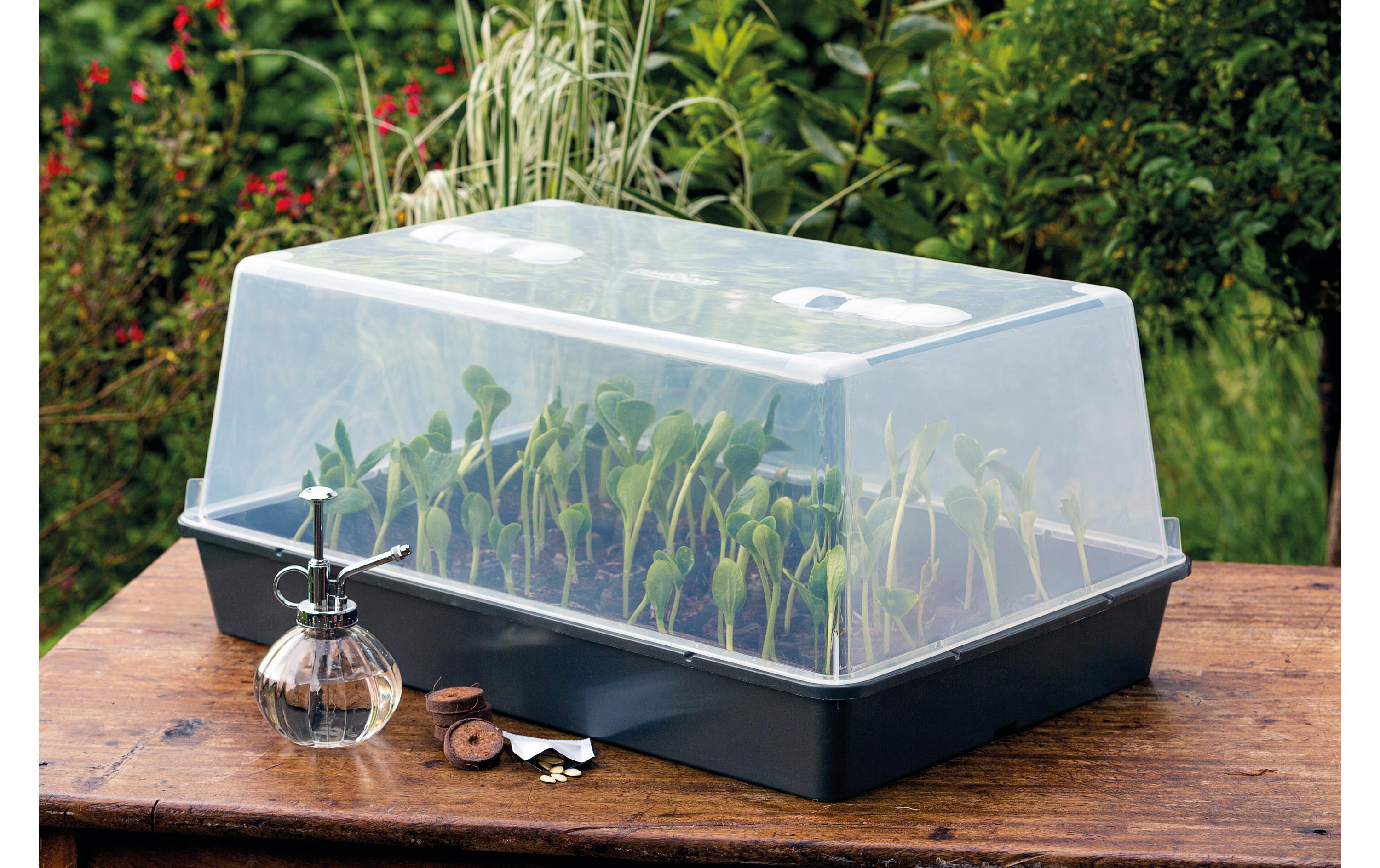 Romberg Gewächshaus XXL mit Belüftung,stabil,lose Ware