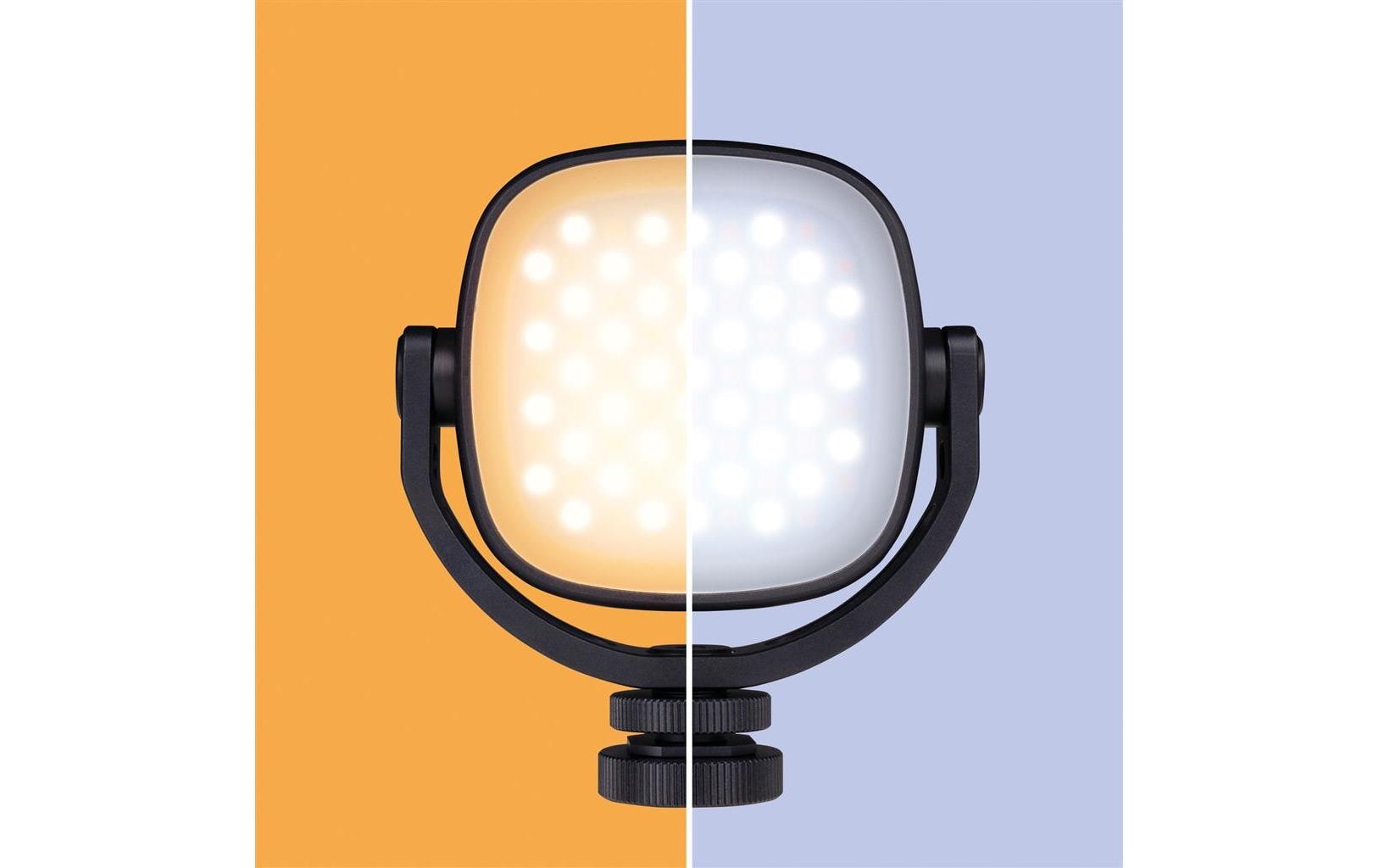 Dörr Videoleuchte MVL-77