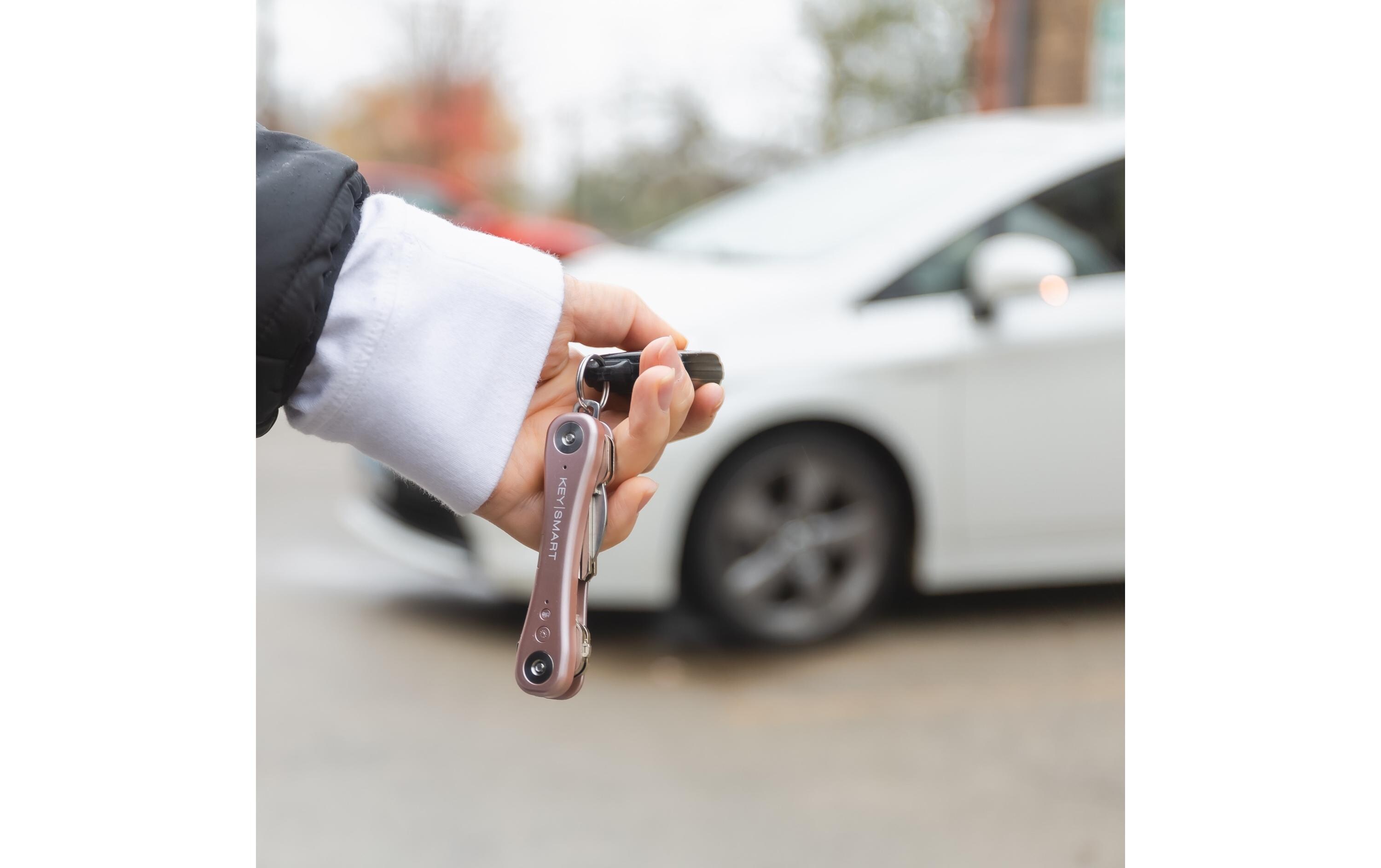 Keysmart Schlüsselhalter iPro, Rosa
