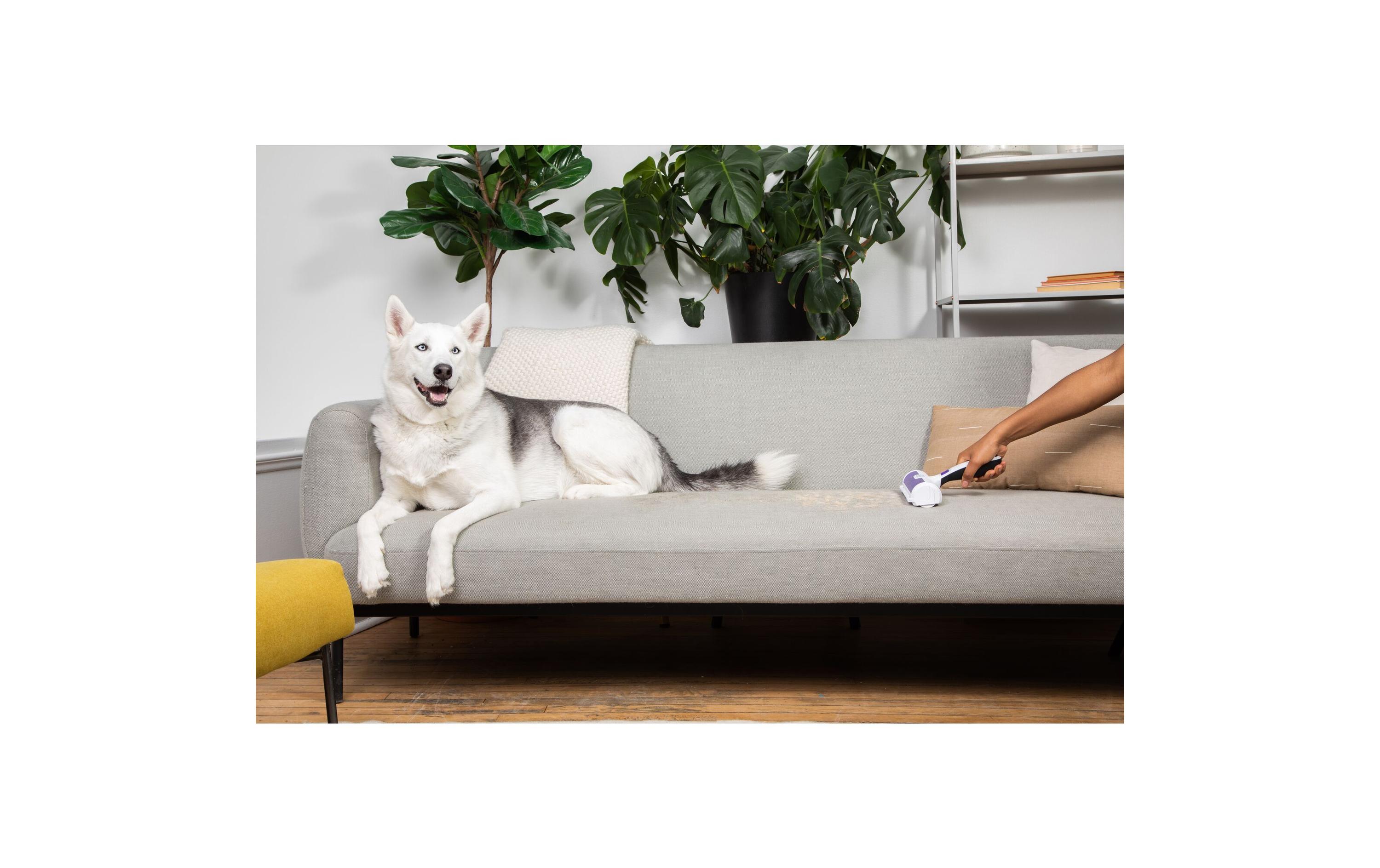 BLACK+DECKER Tierhaarentferner Weiss / Lila