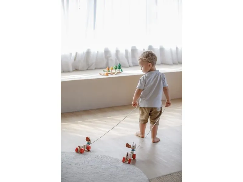 Plantoys Nachzieh-Hündchen aus Kautschukholz