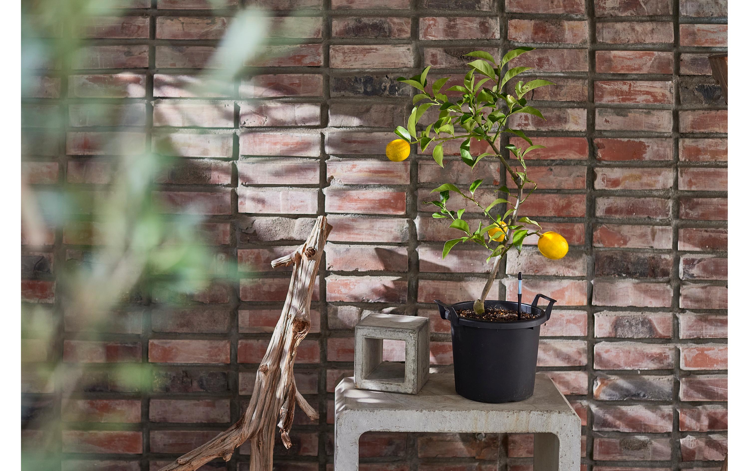 SUStee SUSTEE Einzelpack Giessanzeiger L Schwarz Schwarz