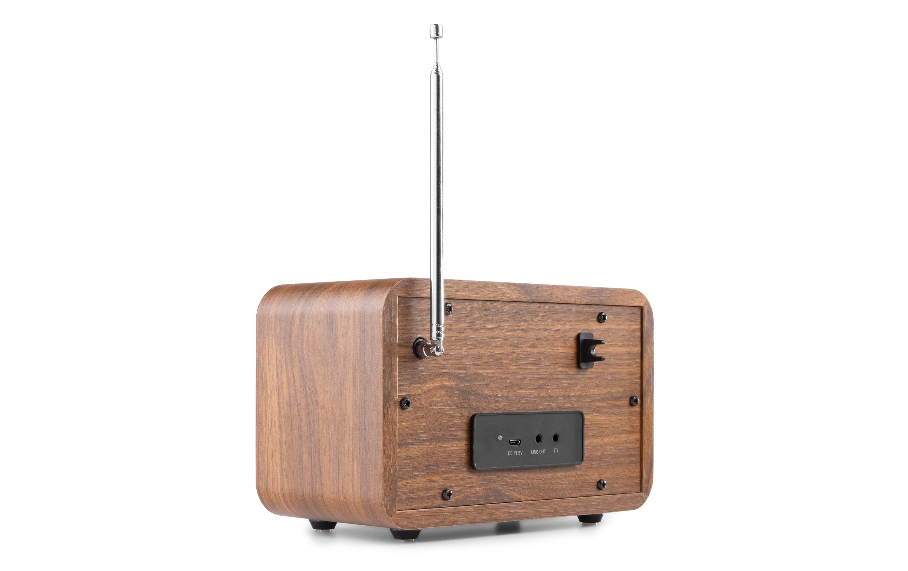 Audizio DAB+ Radio Milan Braun