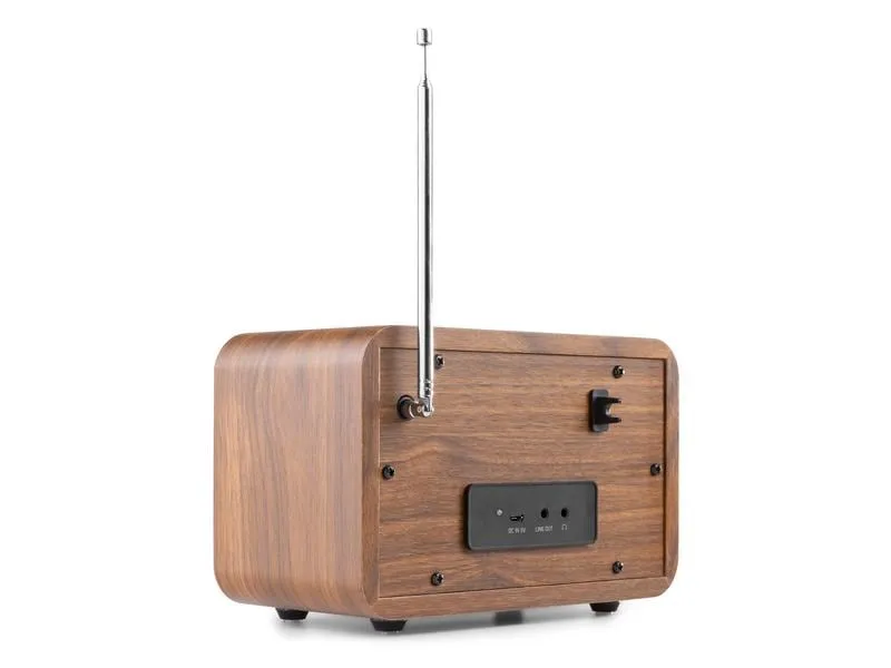 Audizio DAB+ Radio Milan Braun Audizio DAB+ Radio Milan Braun