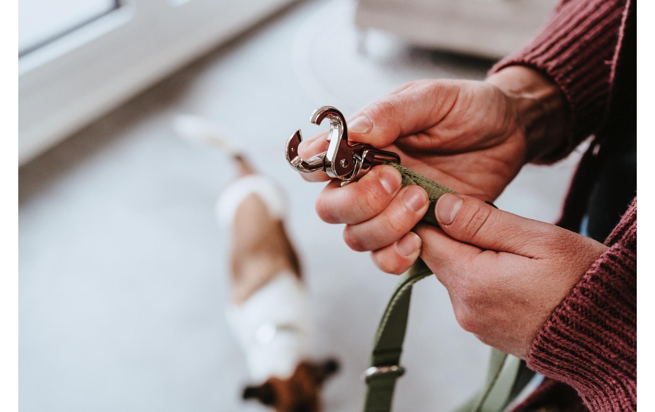 Hunter Verstellbare Führleine Inari, 20/200, Lindgrün