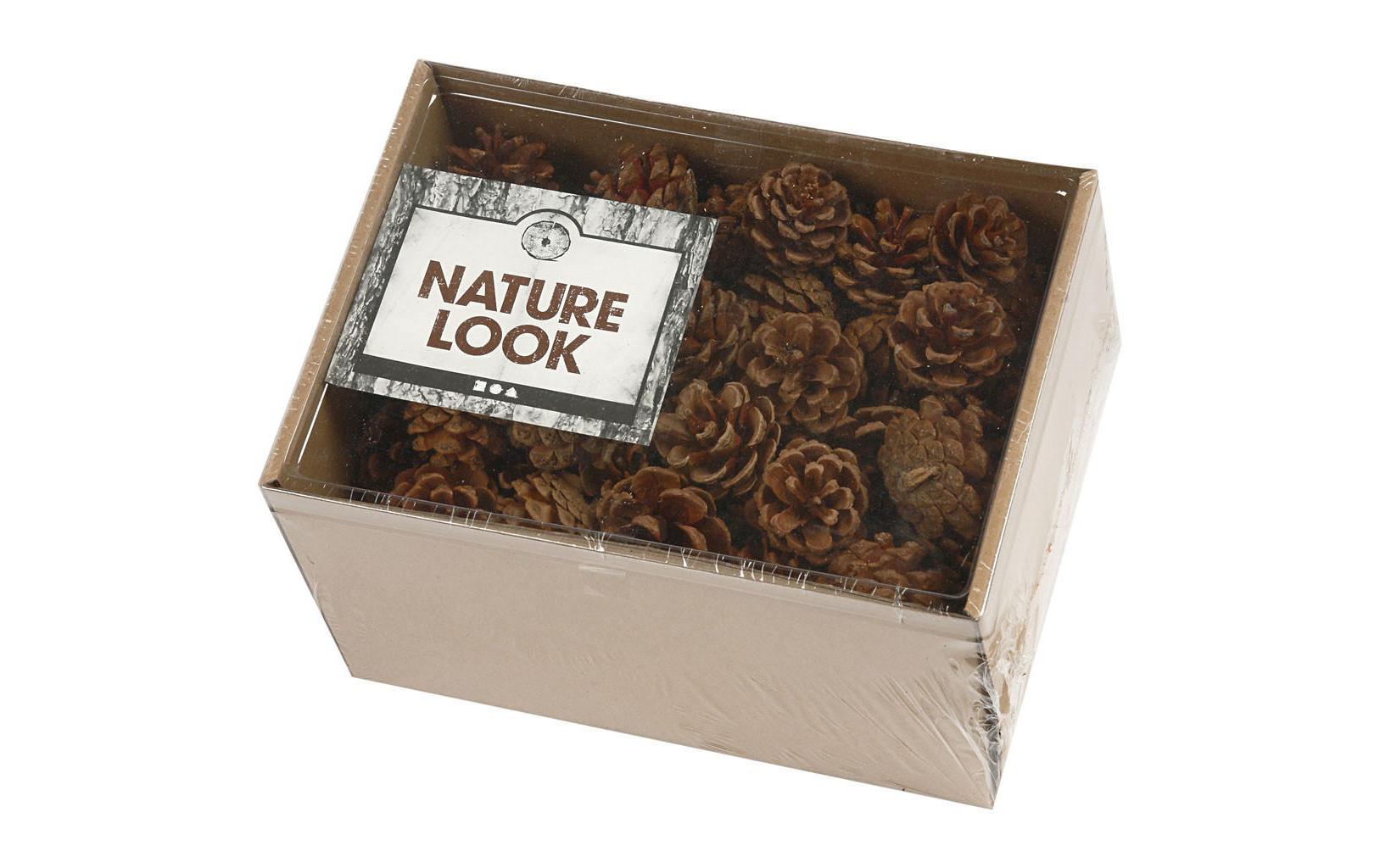 Creativ Company Tannenzapfen Kiefernzapfen 40 mm Creativ Company Tannenzapfen Kiefernzapfen 40 mm