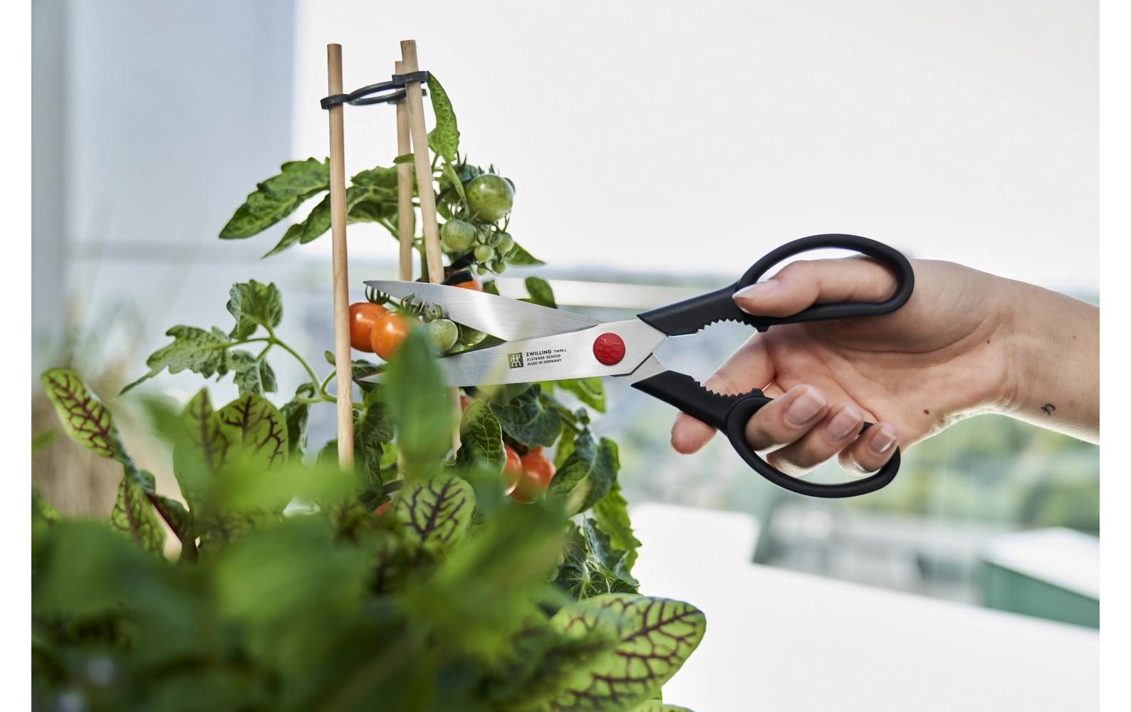 Zwilling Haushaltsschere Twin L 23 cm