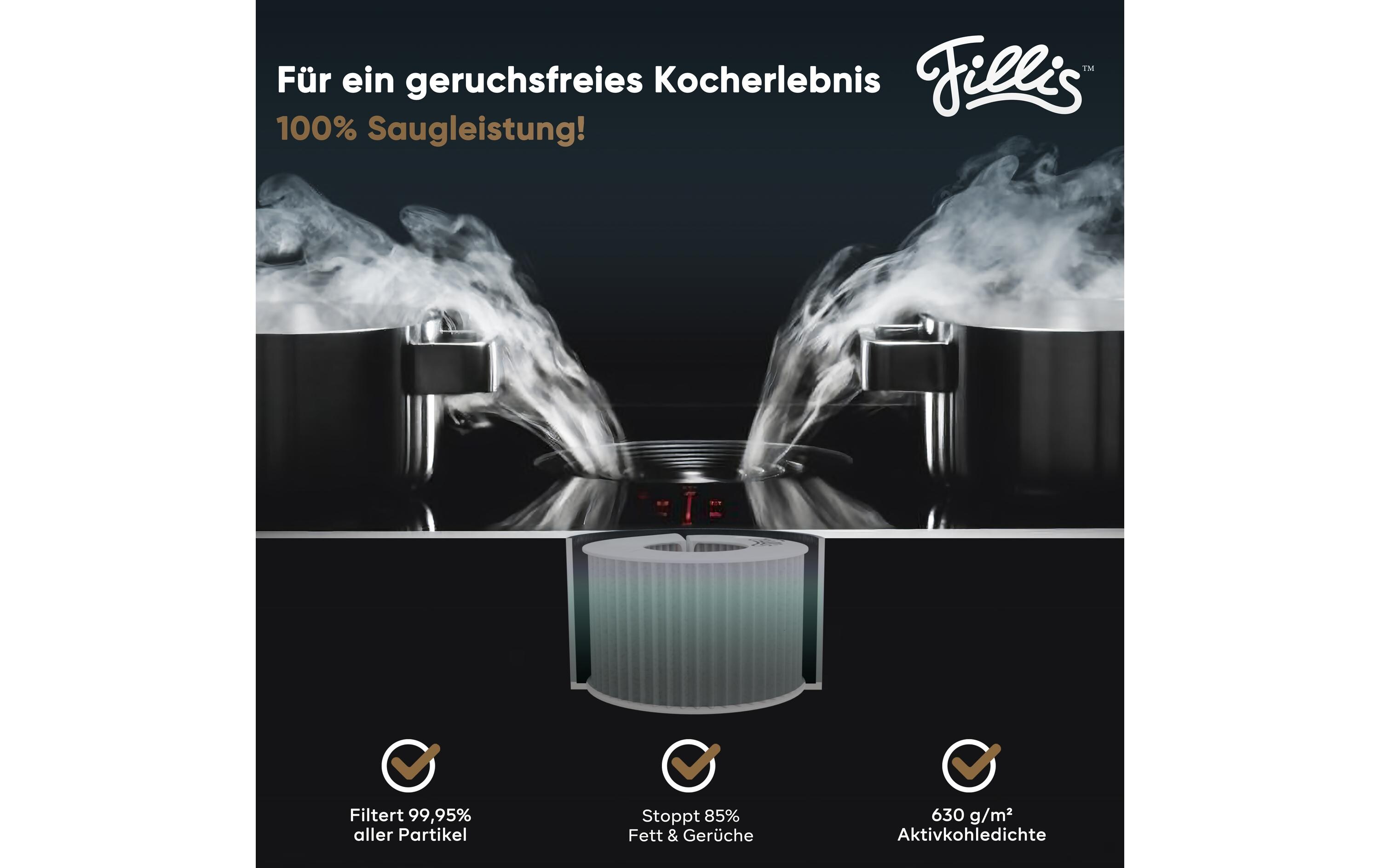 Pillis Aktivkohlefilter für Bora Pure Puru & X Pure Puxu, 1 Stück