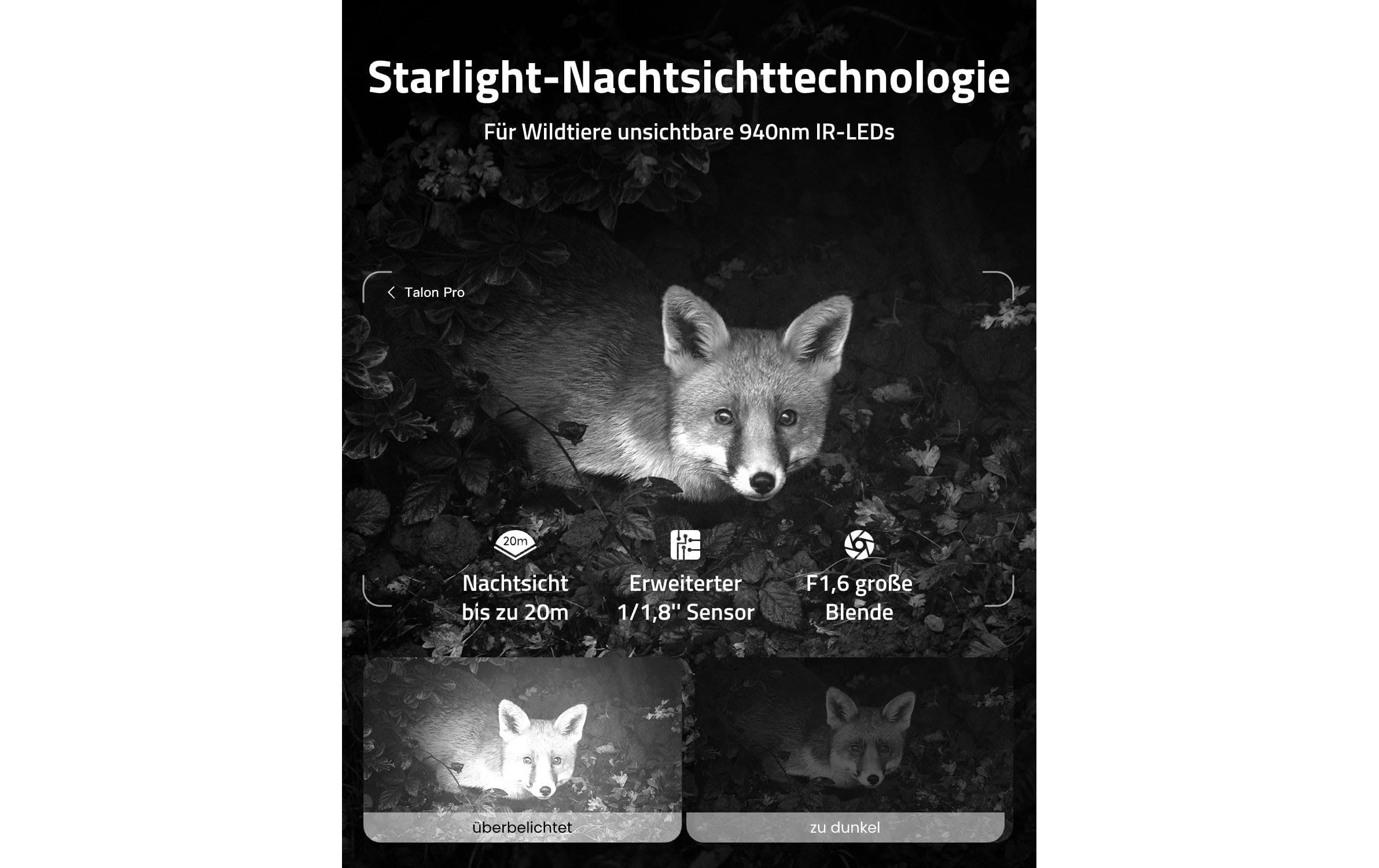 Reolink Wildkamera Camovue Talon Pro 4K 4G LTE