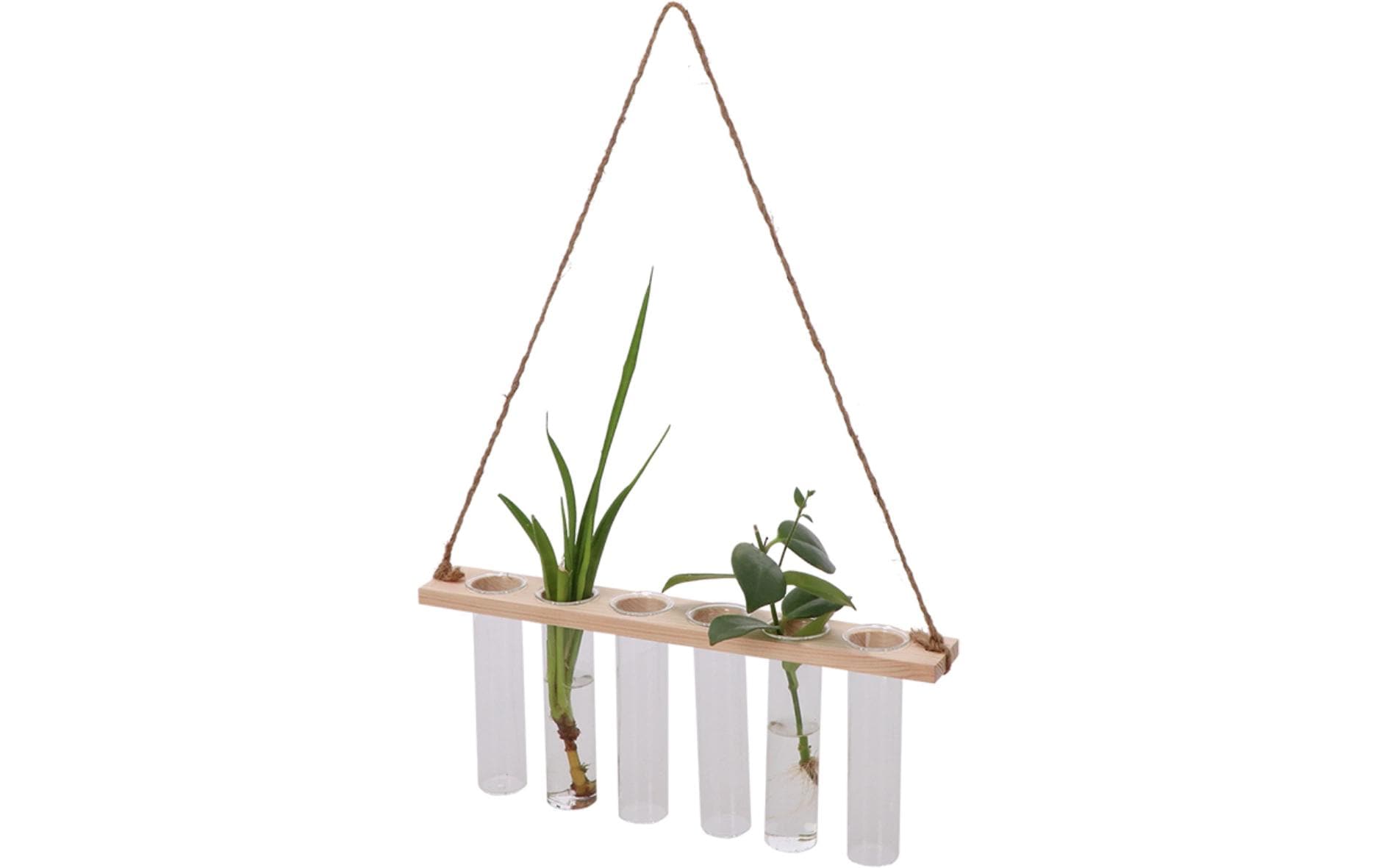 Esschert Design Reagenzglashänger M 13 cm, Nature/Transparent