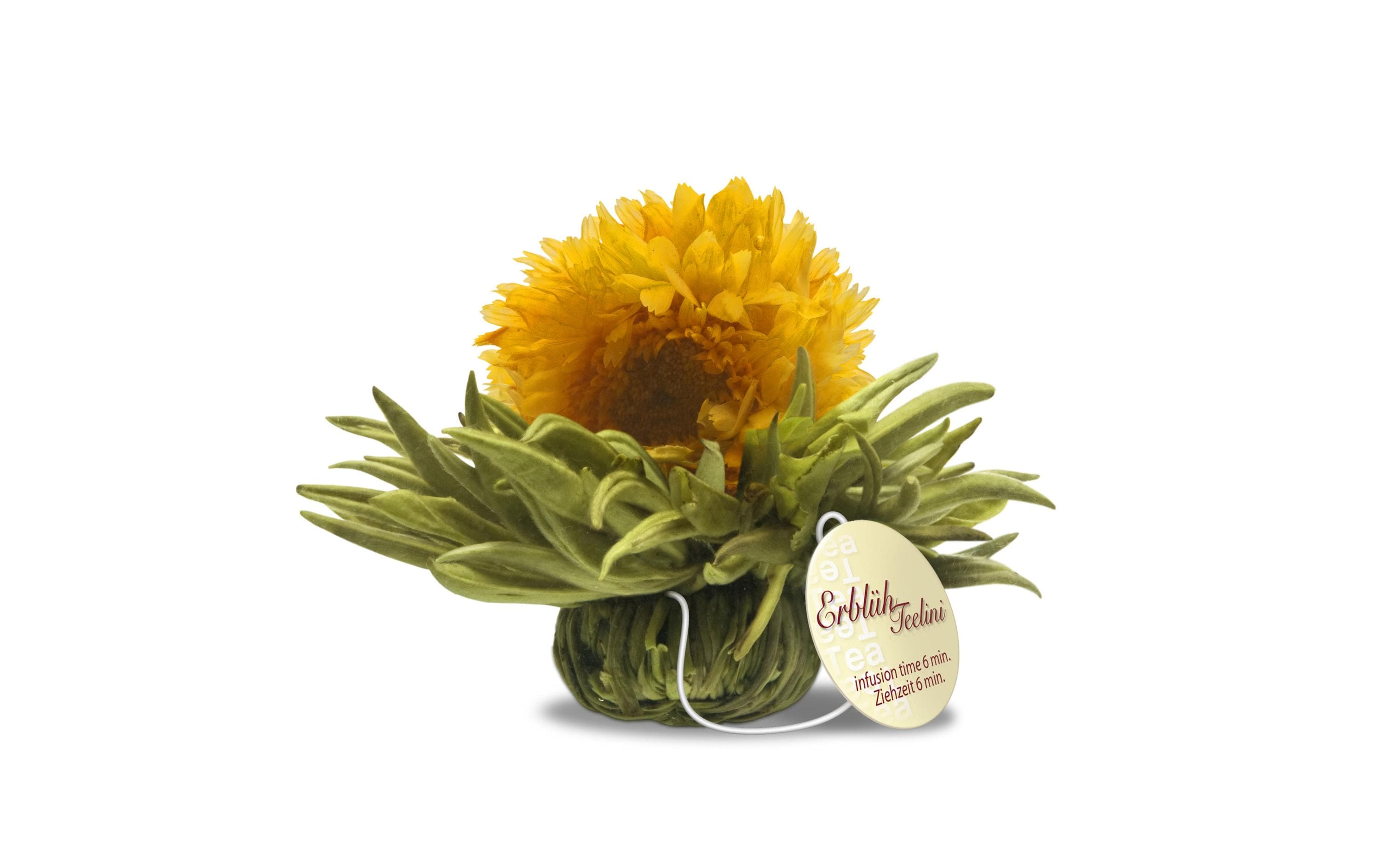 Creano Erblühtee Erblühteelini Weisstee 8er Set Creano Erblühtee Erblühteelini Weisstee 8er Set