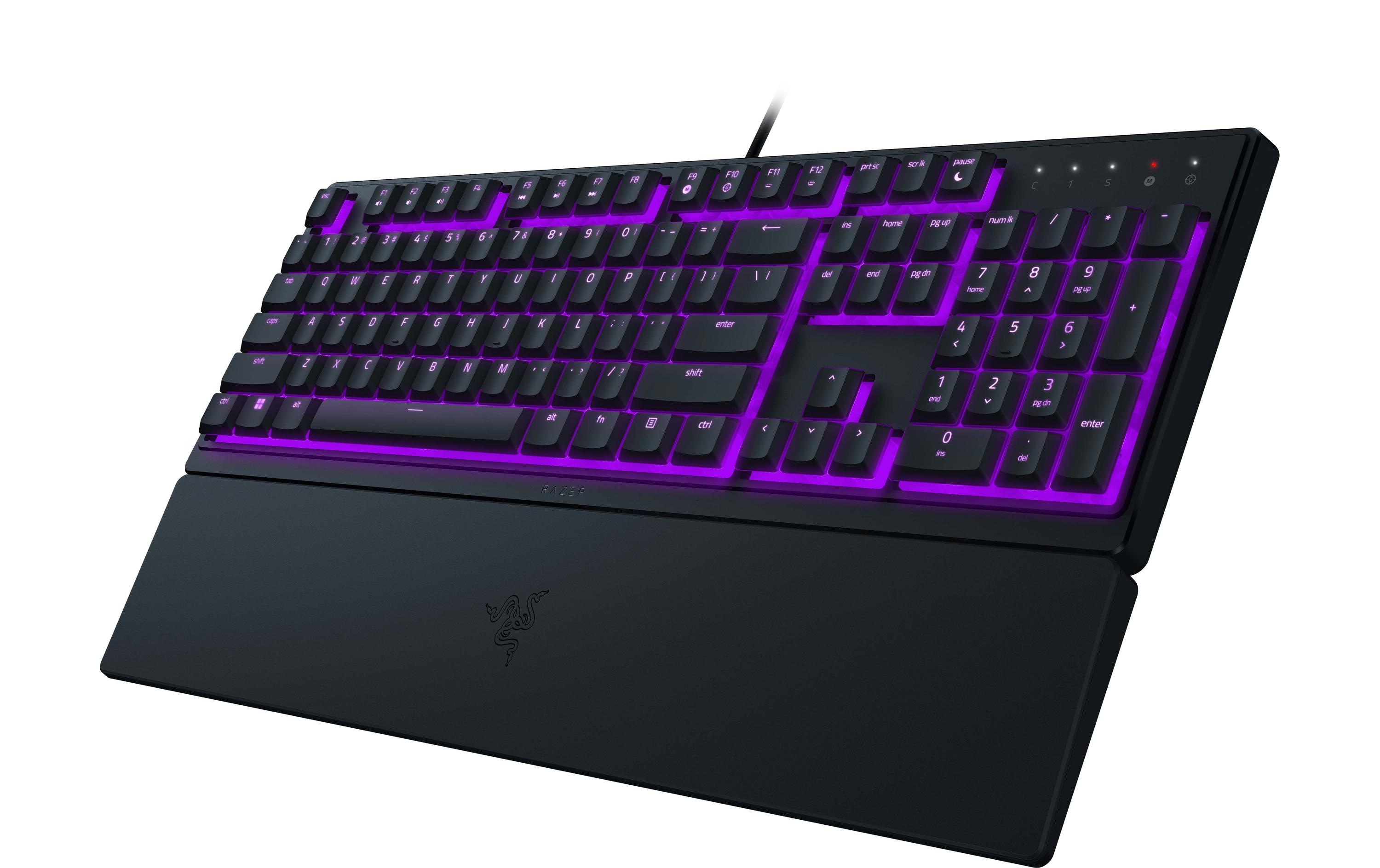 Razer Gaming-Tastatur Ornata V3 X