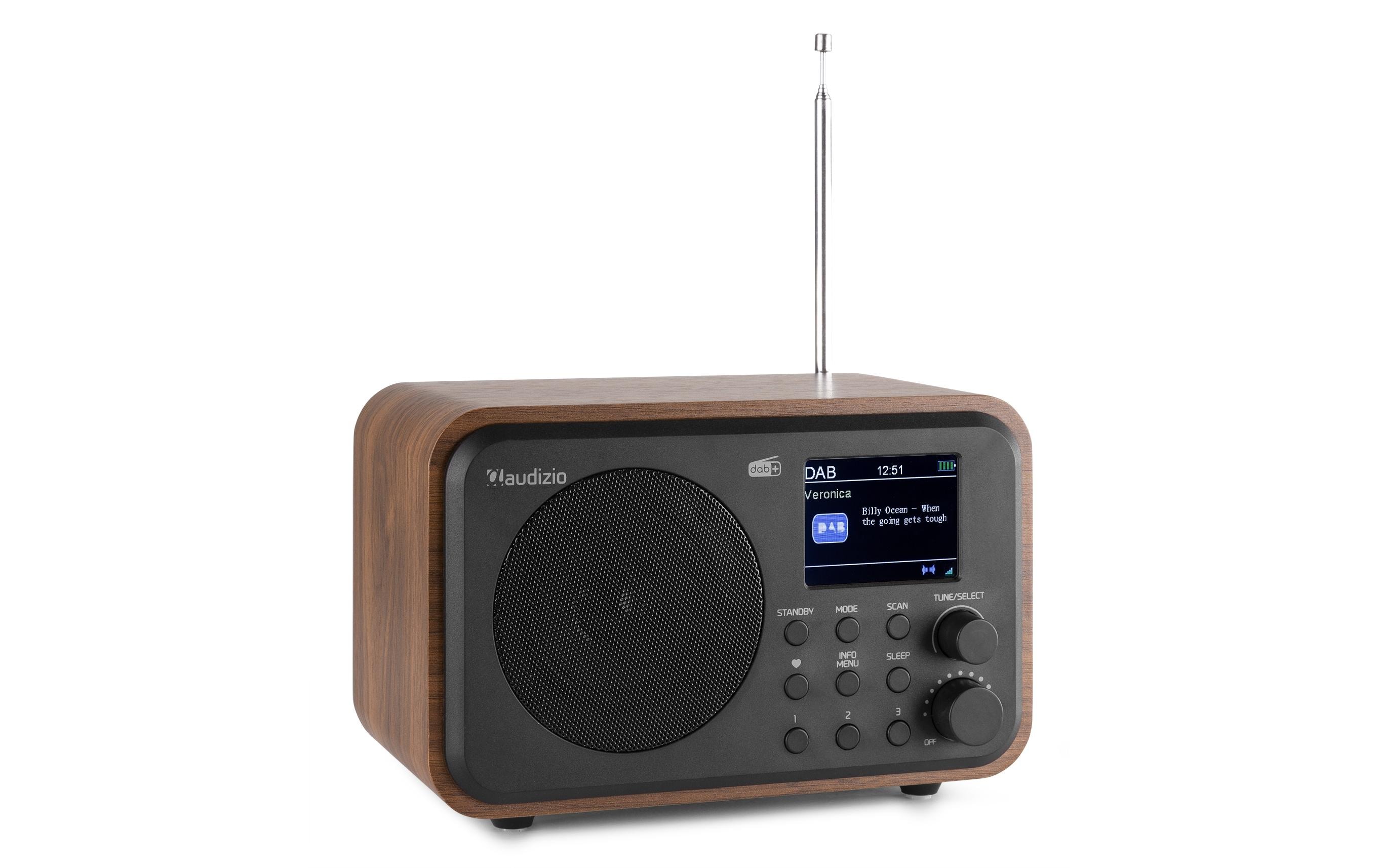 Audizio DAB+ Radio Milan Braun