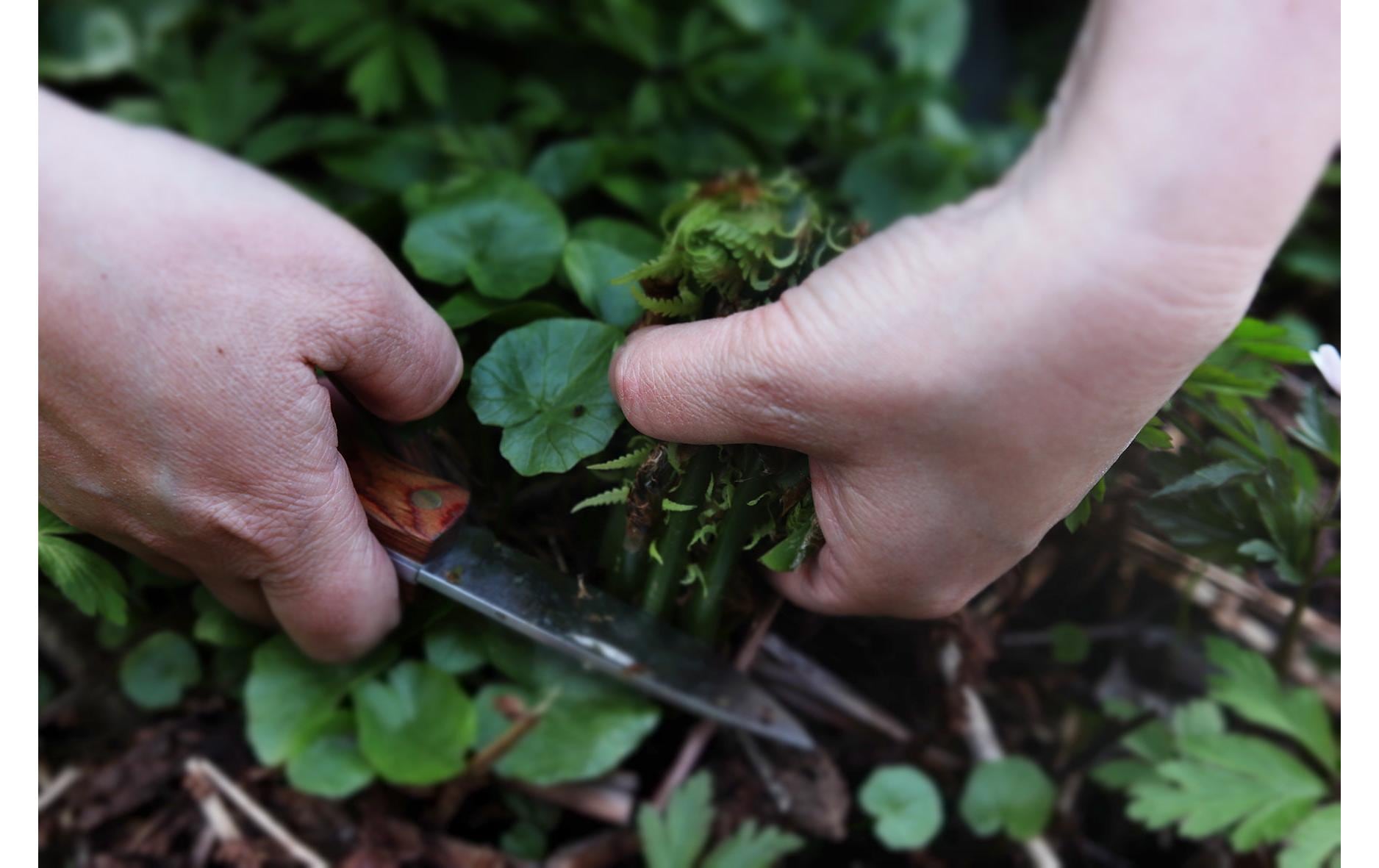 ØYO Messer Marka ØYO Messer Marka