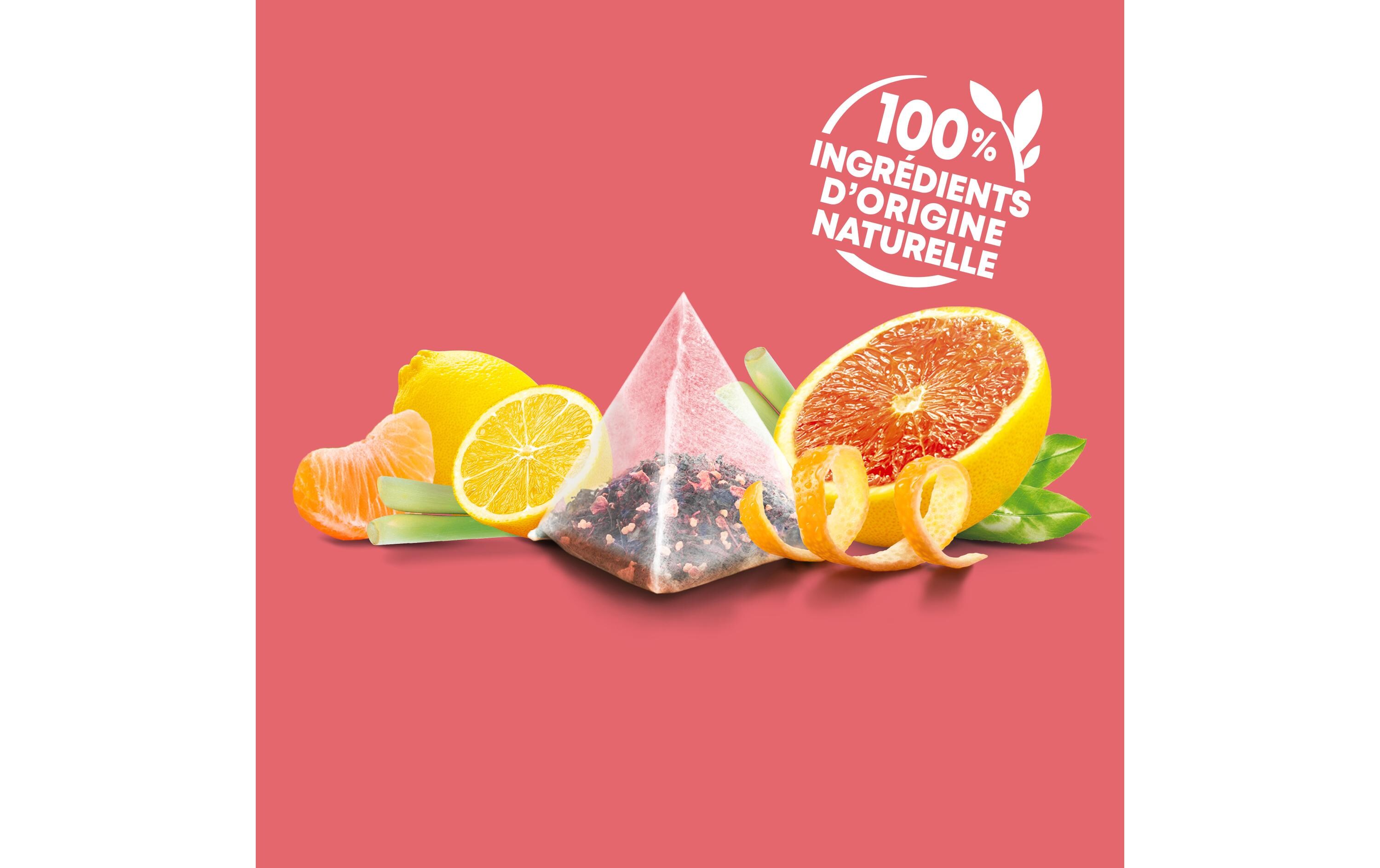 Eléphant Teebeutel Infusion Pamplemousse Mandarine Citron 20 Stück