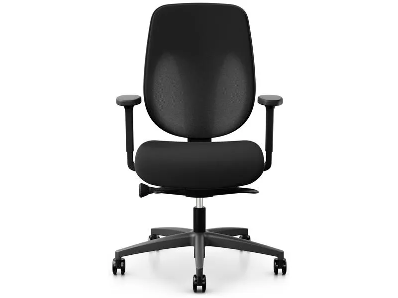Giroflex Bürostuhl 353 mit Netzrücken und Armlehnen, Schwarz