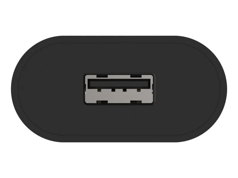 Ansmann USB-Wandladegerät Home Charger HC105 5W, 1x USB, Schwarz
