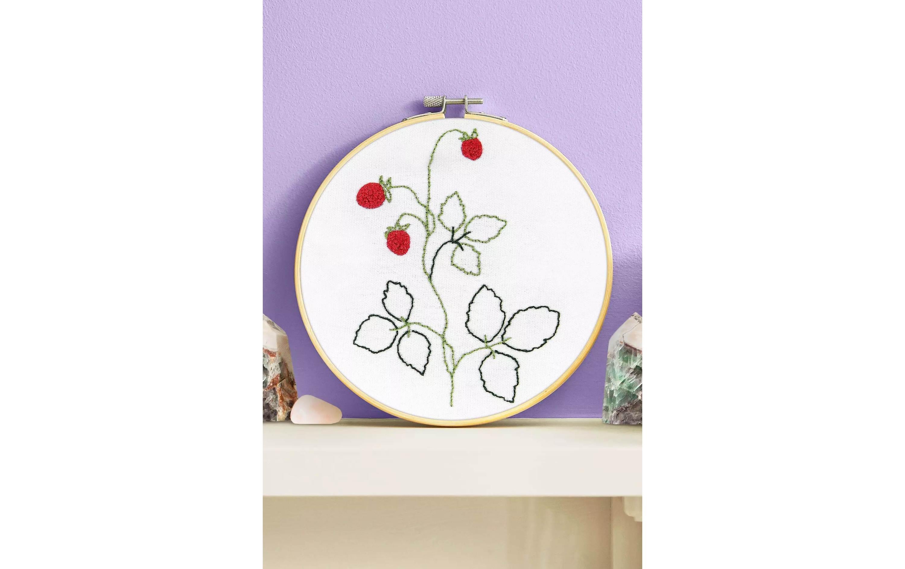 DMC Stickset Starter Kit Erdbeermotiv