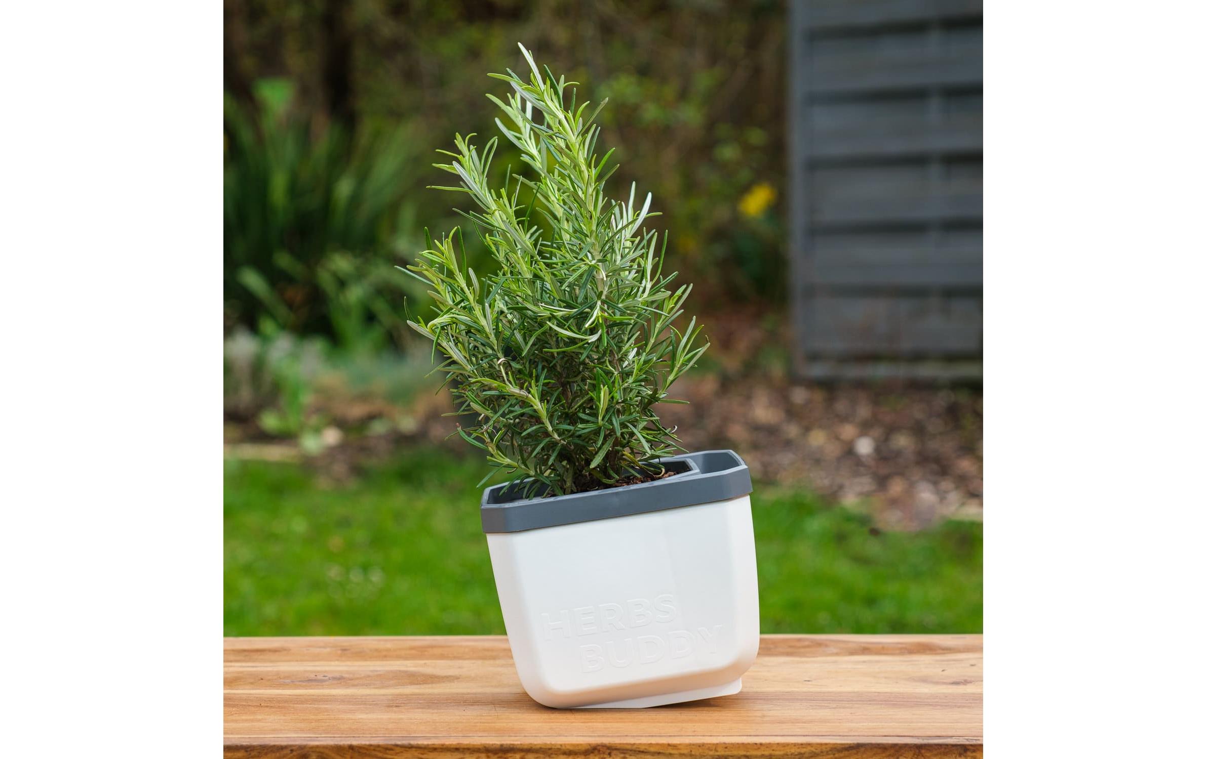 Gusta Garden HERBS BUDDY Kräutertopf 3er Set Weiss