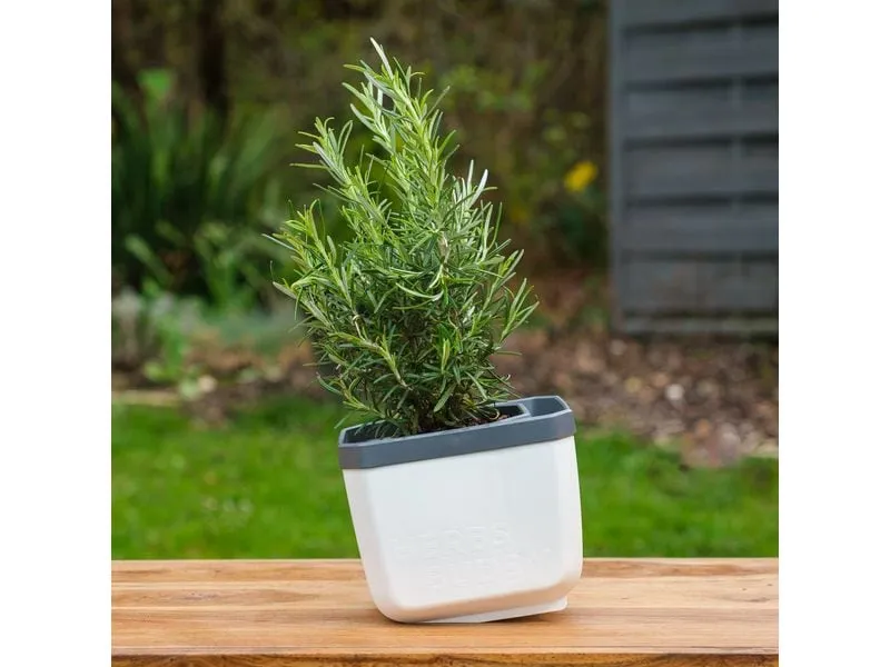 Gusta Garden HERBS BUDDY Kräutertopf 3er Set Weiss Gusta Garden HERBS BUDDY Kräutertopf 3er Set Weiss