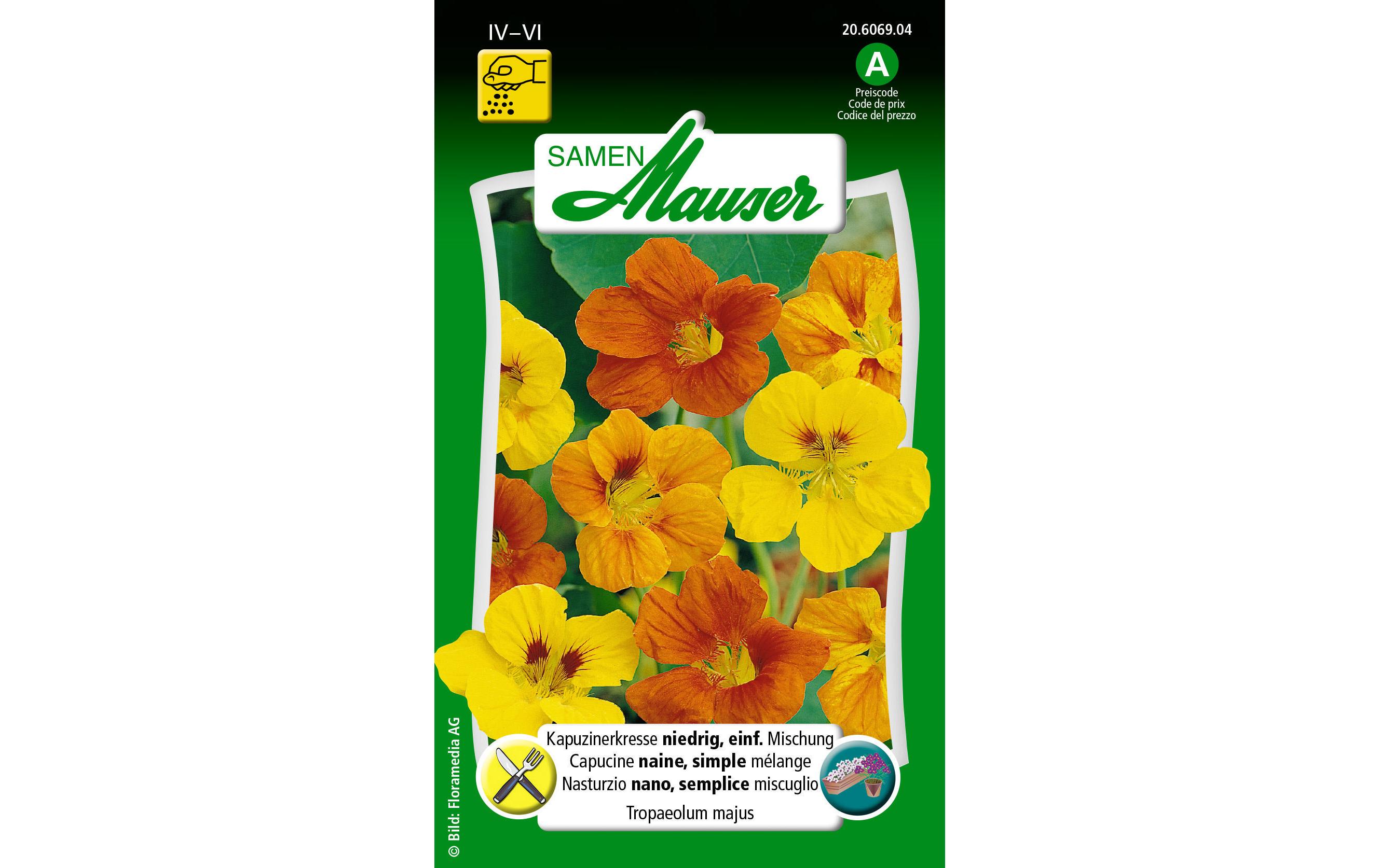 Samen Mauser Essbare Blüten Kapuzinerkresse, niedrig