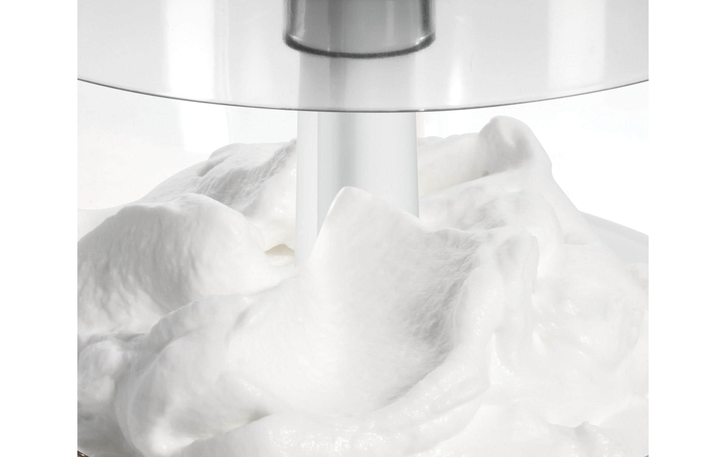 Bosch Zerkleinerer MMR08A1 0.8 l