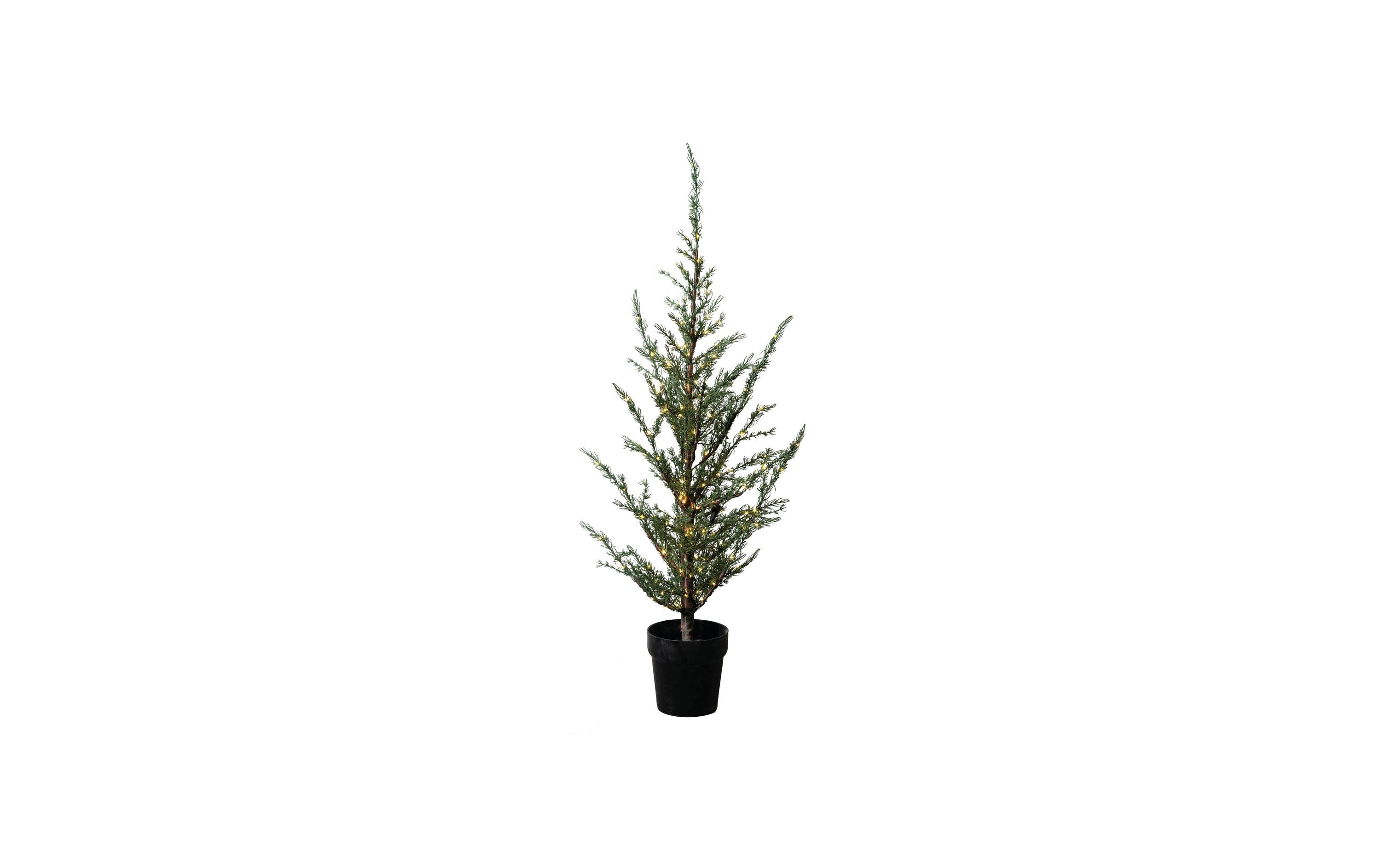 Sirius Weihnachtsbaum Milas, 100 cm, 100 LEDs, Grün