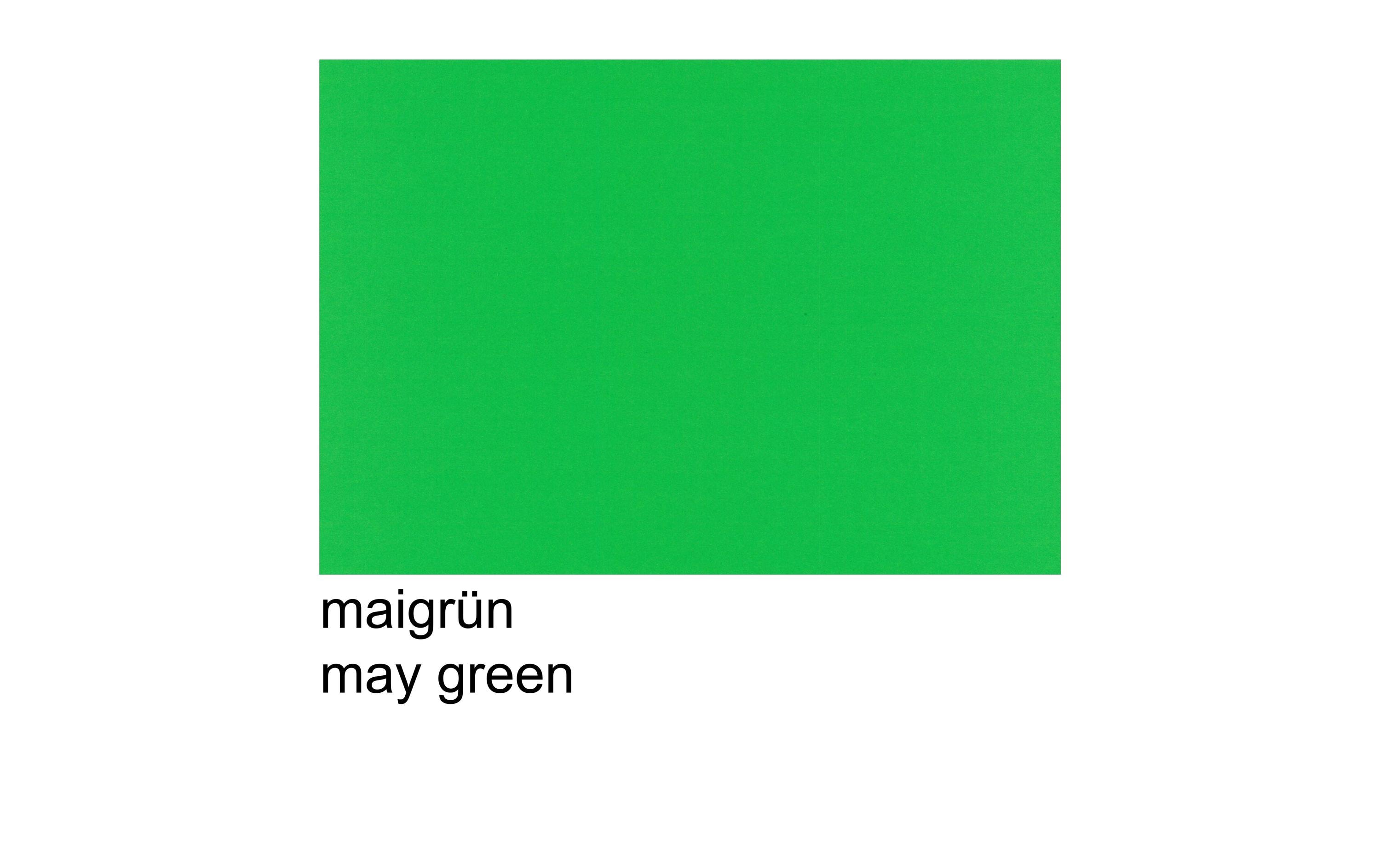 Scaldia Tonzeichenpapier A4, 130 g/m², 100 Stück, Maigrün