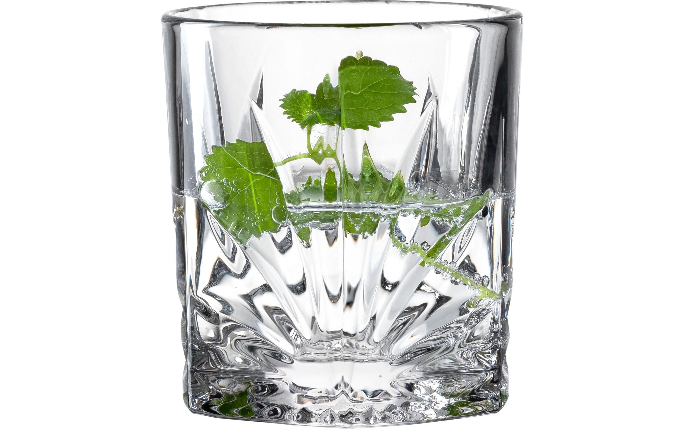 Leonardo Whiskyglas Capri 220 ml, 4 Stück, Transparent