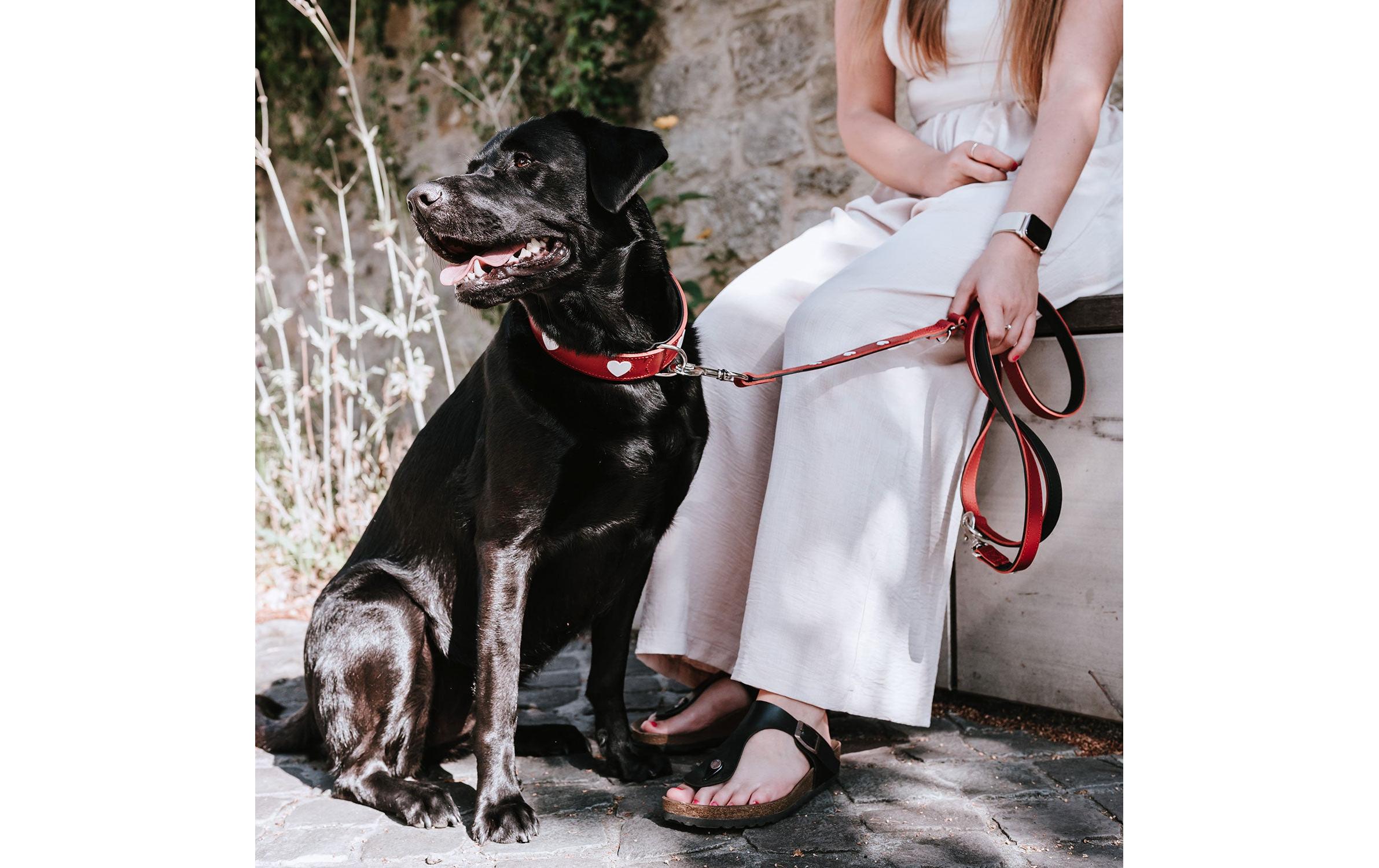 Hunter Halsband Love L (65), Rot/Schwarz