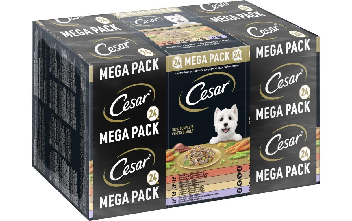 Cesar Nassfutter Landragout 4 Varietäten 24 x 150 g