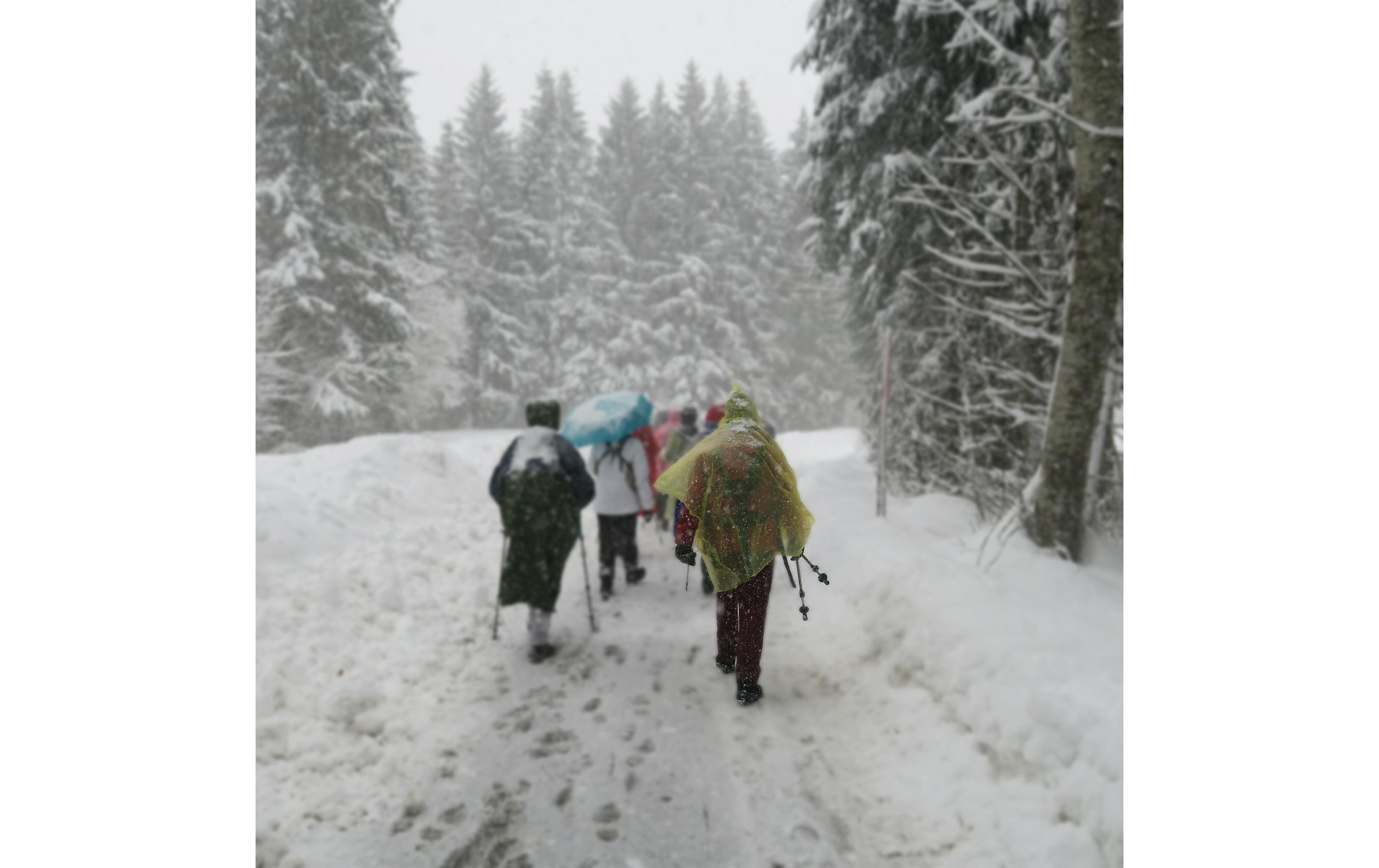 relaxdays Regenponcho 20 Stück, Gelb