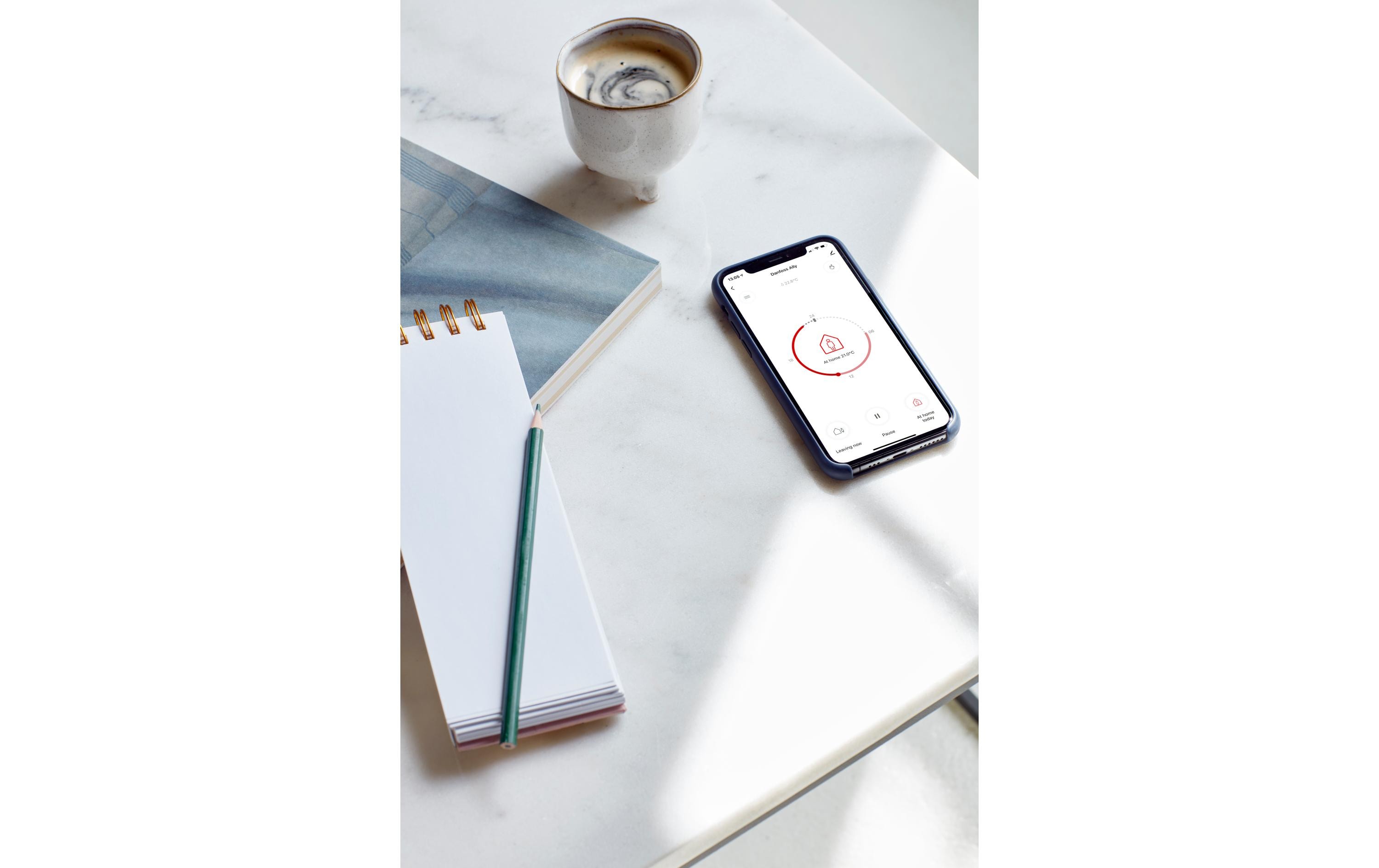 Danfoss Ally Starter Pack