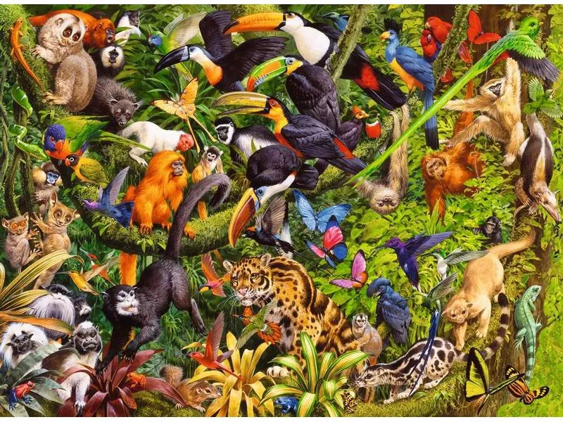 Ravensburger Puzzle Bunter Dschungel