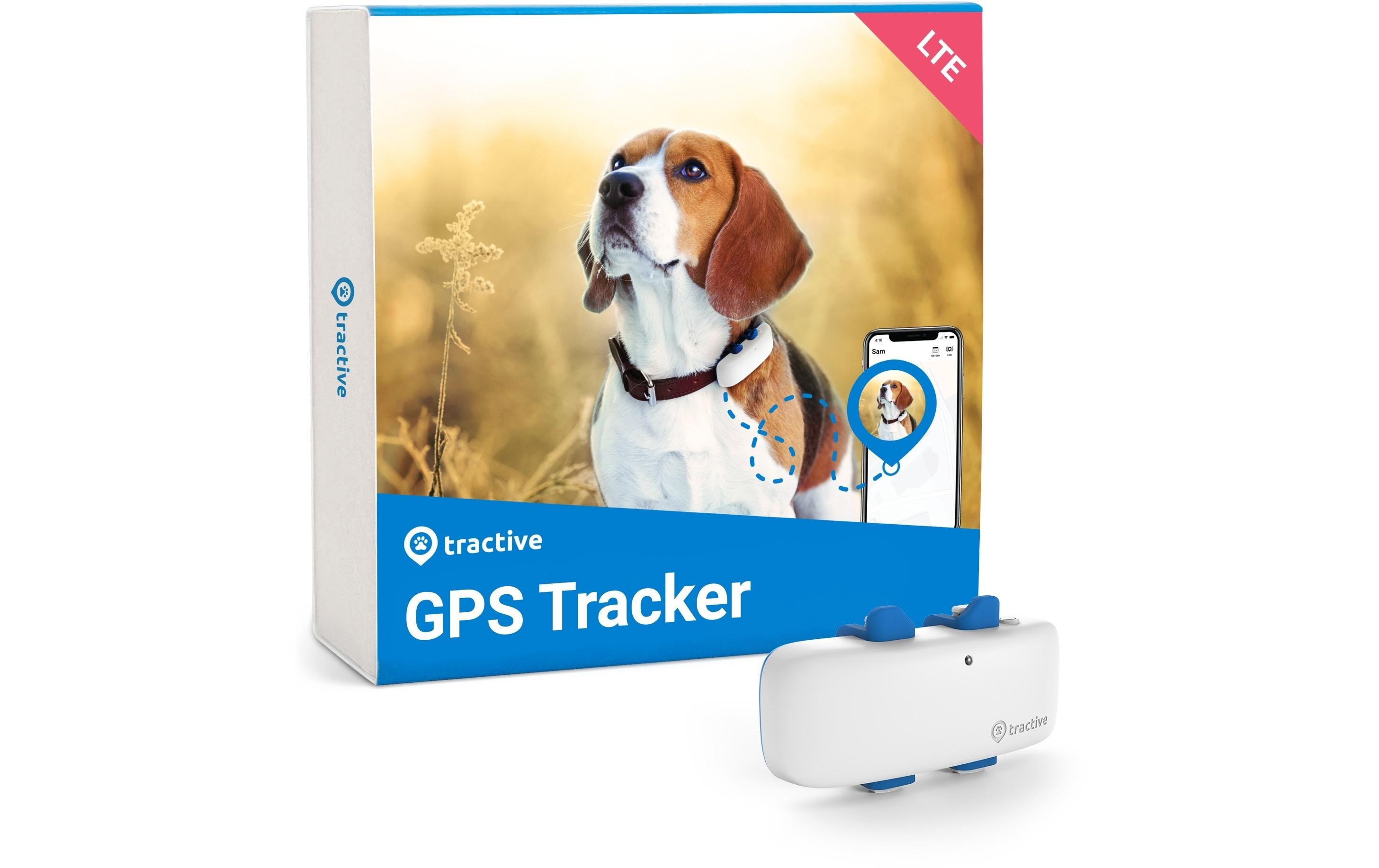 tractive GPS-Tracker LTE für Hunde, weiss