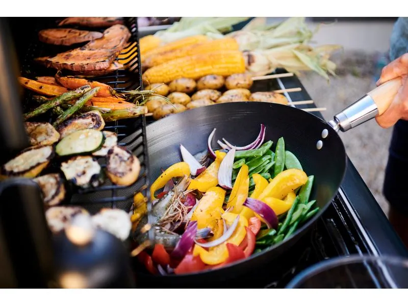 Campingaz Gasgrill Select 4 L Plus