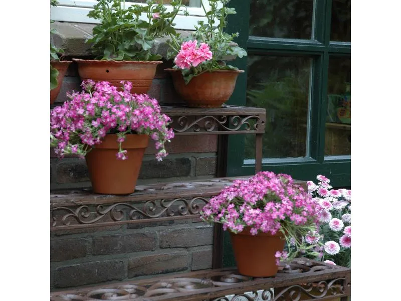 Esschert Design Blumentreppe aus Gusseisen, rechteckig Esschert Design Blumentreppe aus Gusseisen, rechteckig