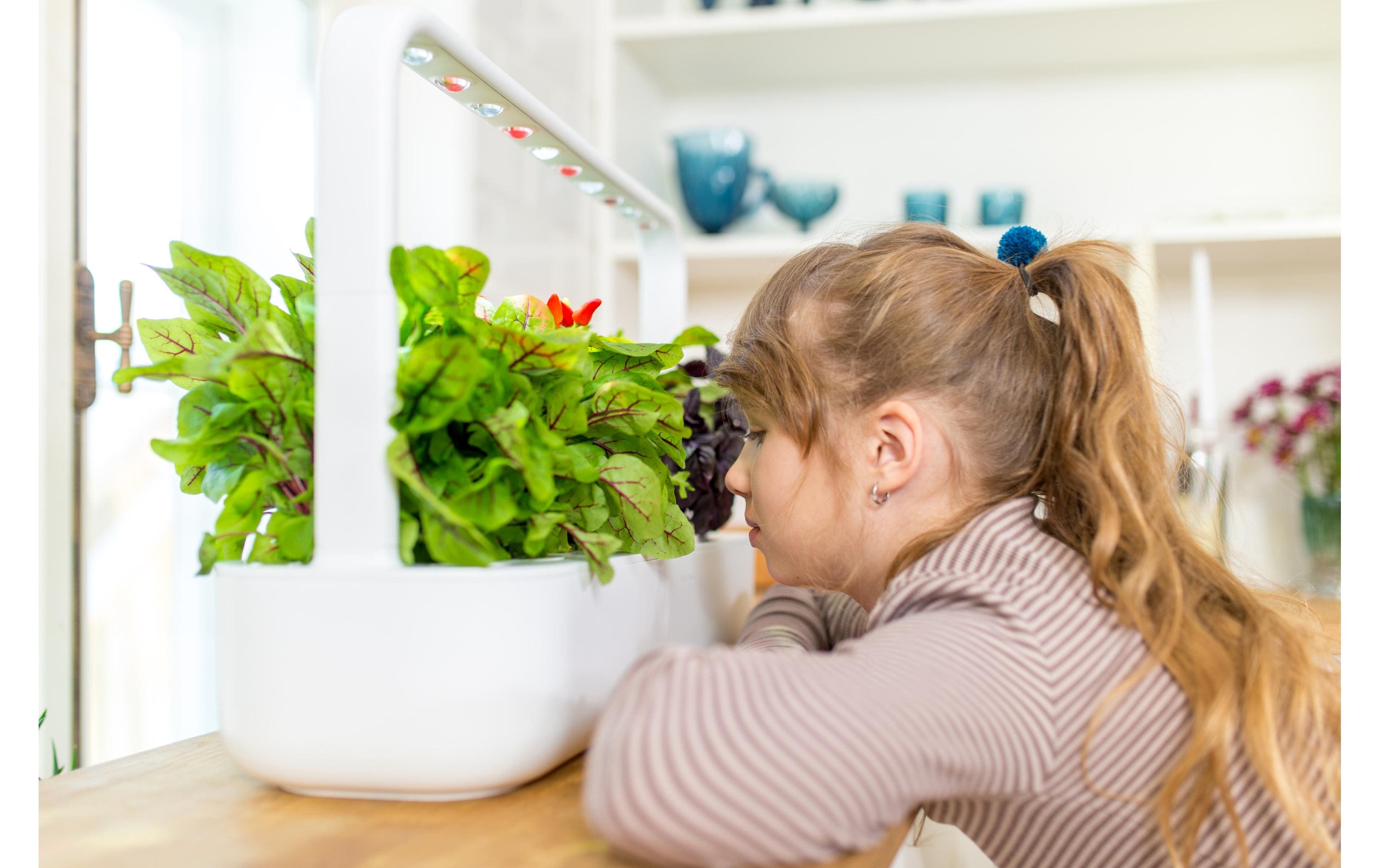 Click and Grow Kräutertopf Smart Garden 9 Weiss