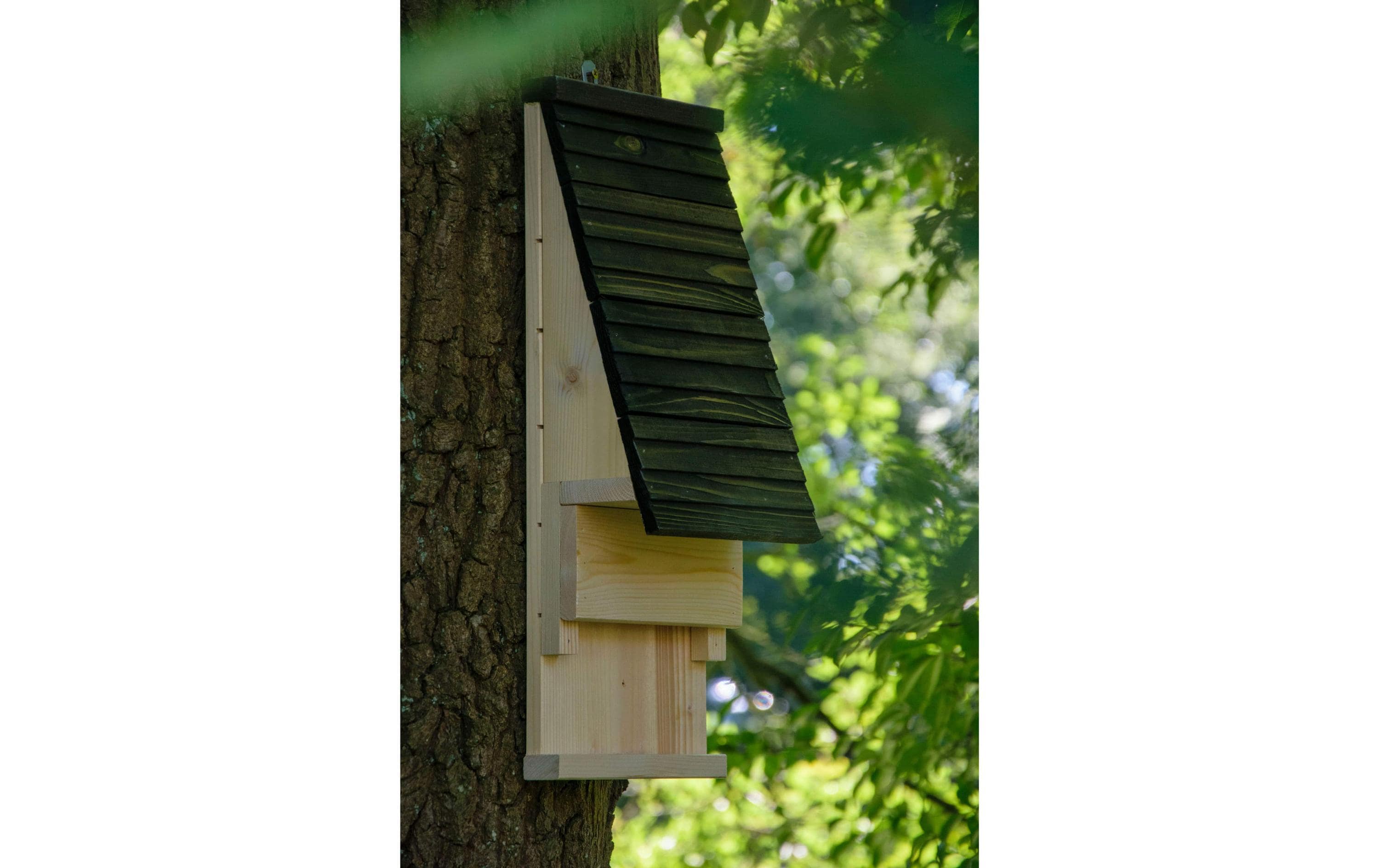 dobar green label Fledermauskasten «Pteropodidae» 19.5 x 14 x 53.5 cm, Holz