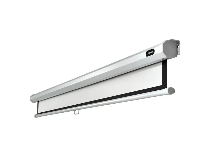Celexon Motorleinwand Motor Professional 160x160cm 1:1 Celexon Motorleinwand Motor Professional 160x160cm 1:1