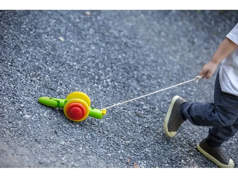 Plantoys Nachzieh-Schnecke Zieh- & Schiebespielzeug