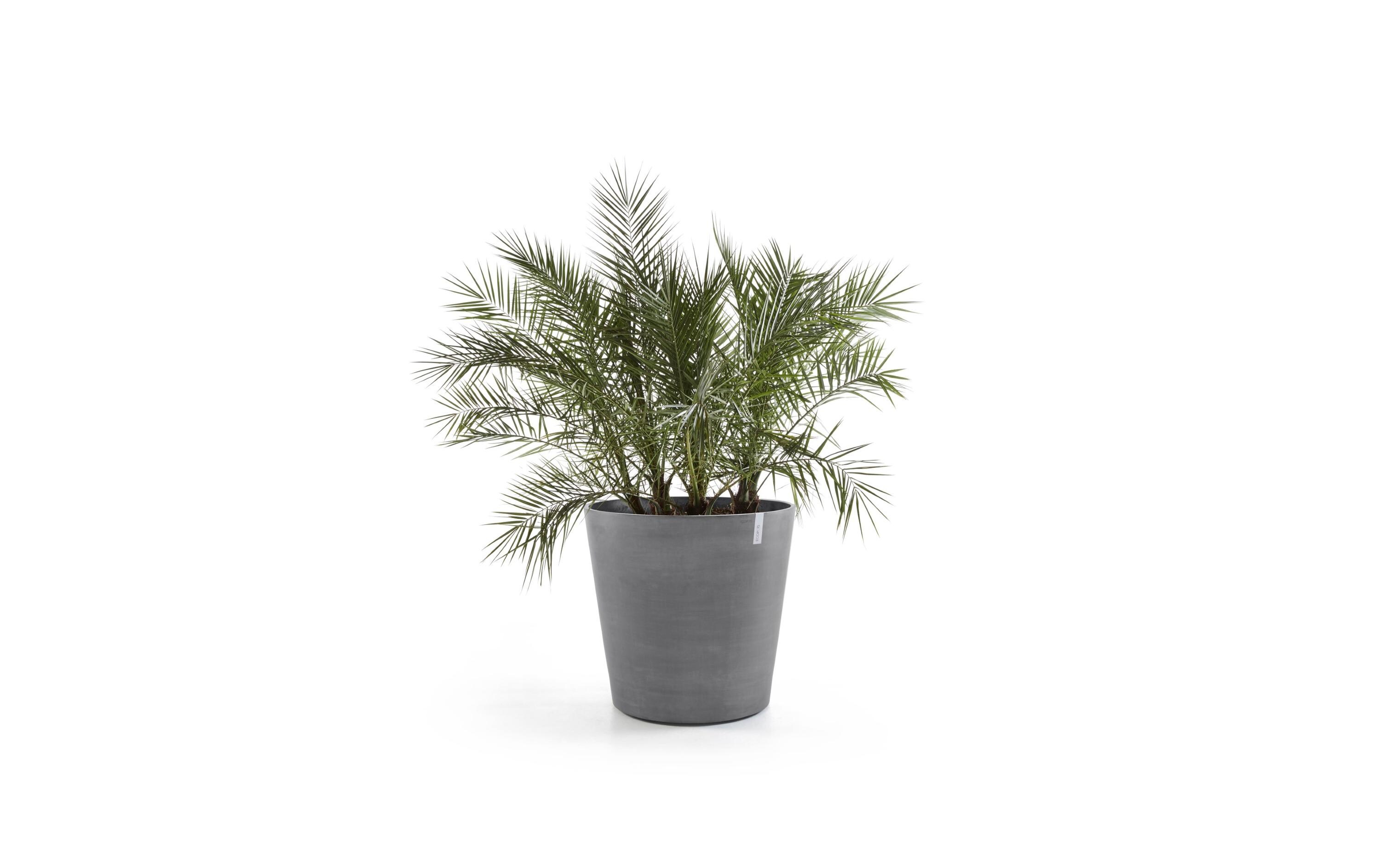 Ecopots Blumentopf Amsterdam Wheels Ø 60 cm Grey