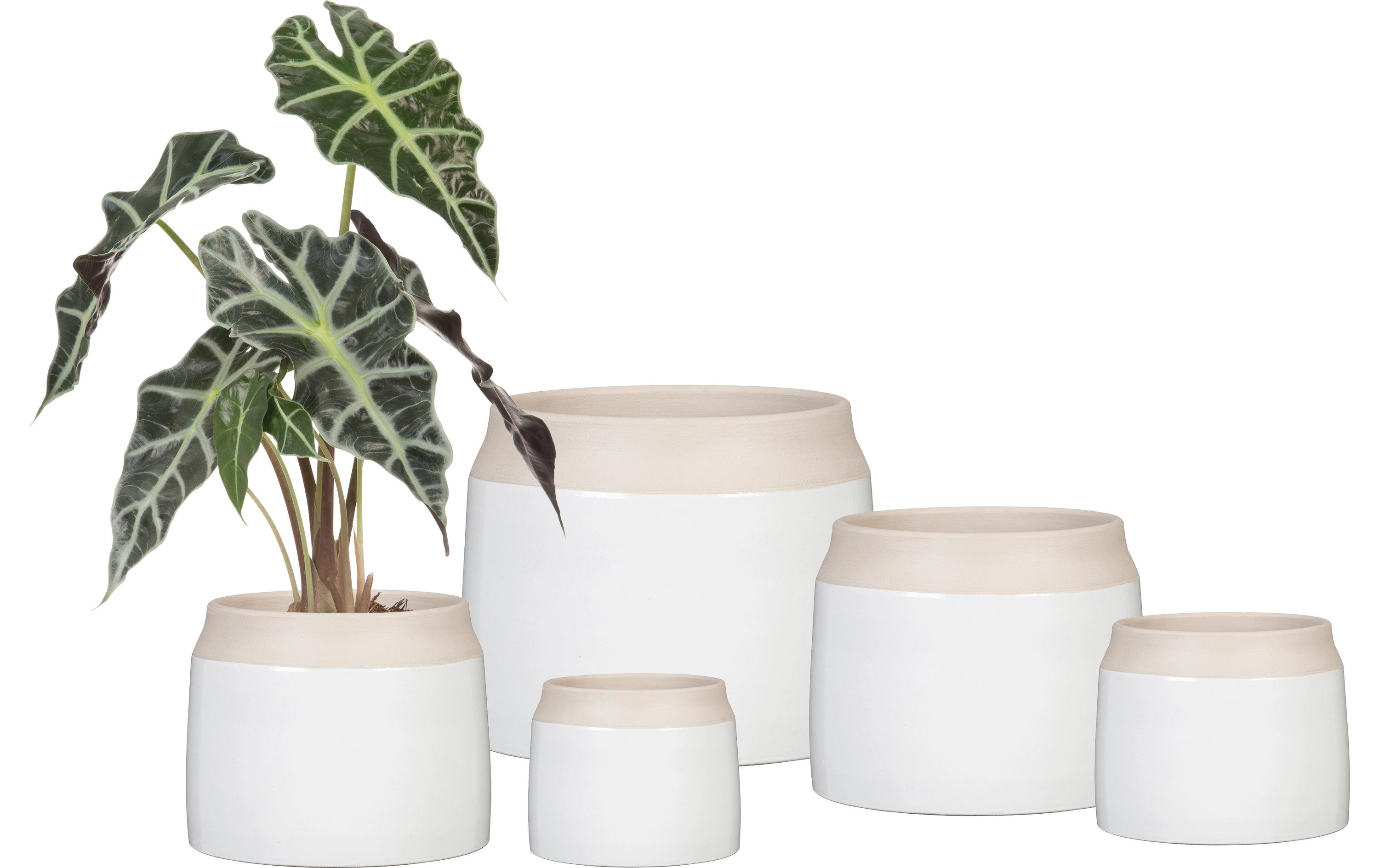 scheurich Blumentopf Blanco 717, 21.9 cm, Weiss